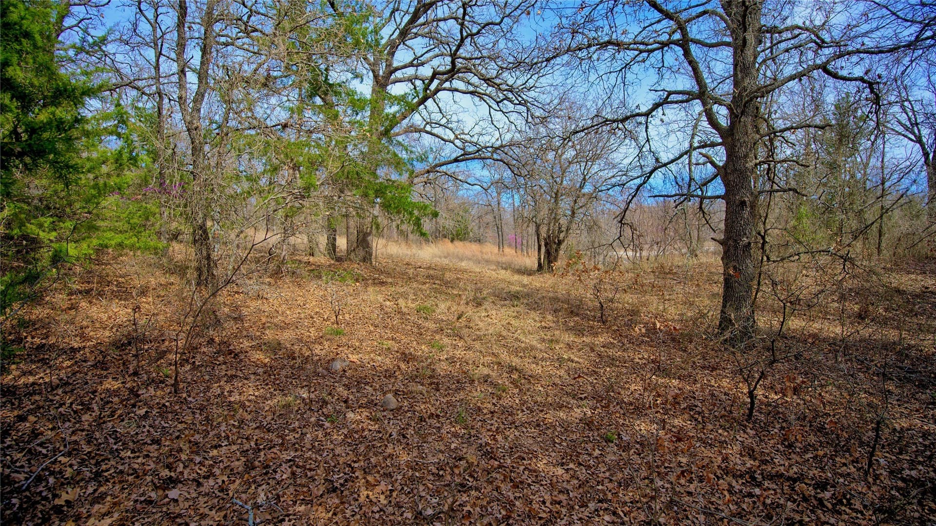 2.64 acres in Montague County - photo 12