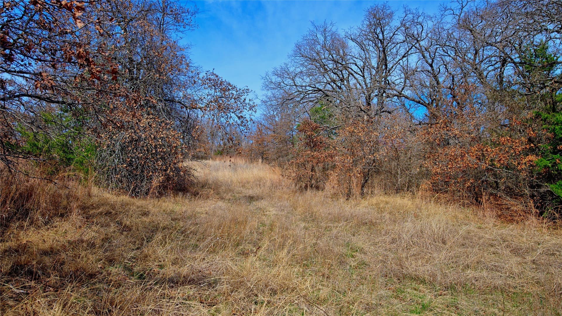 2.64 acres in Montague County - photo 14