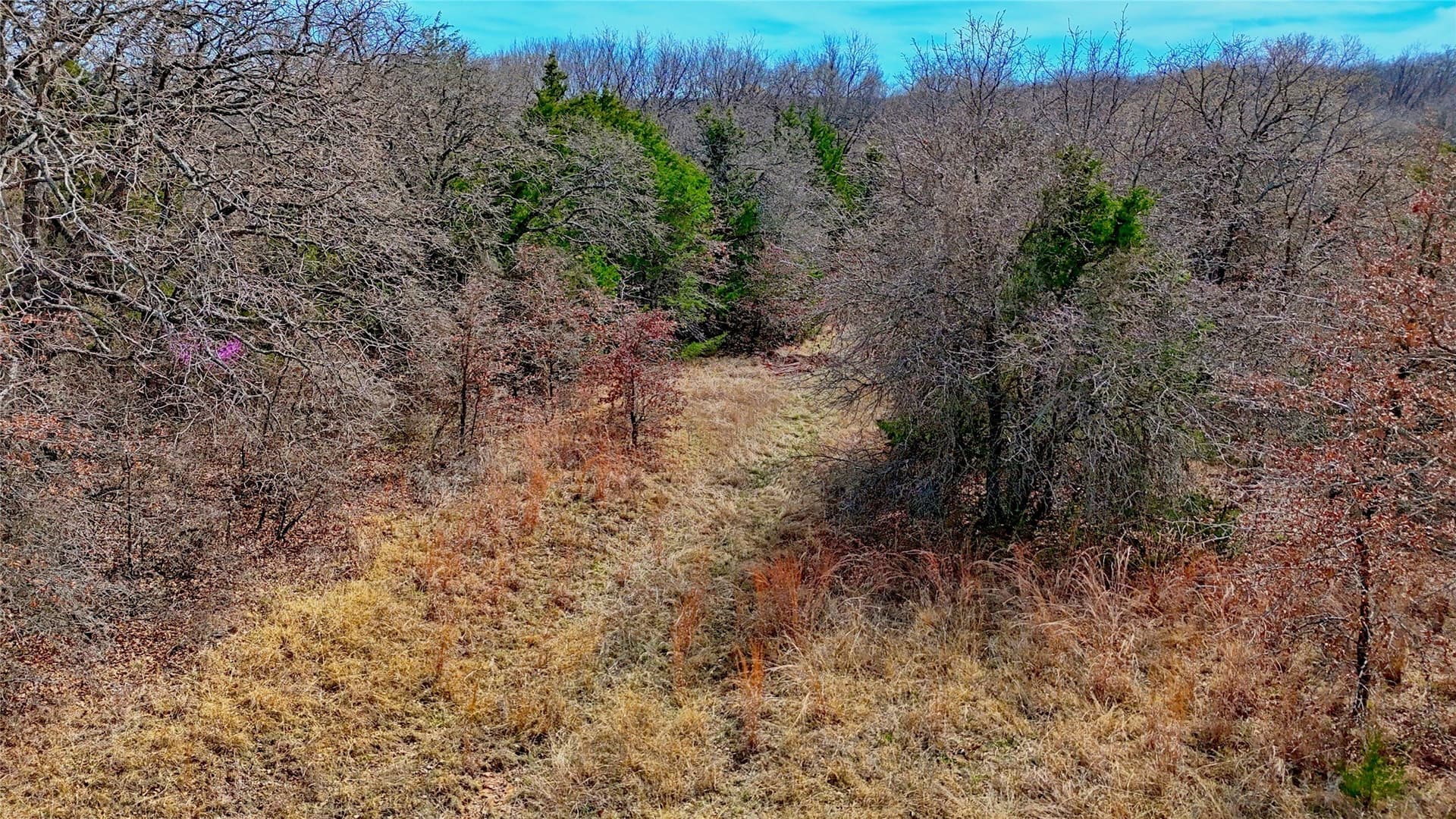 2.64 acres in Montague County - photo 21