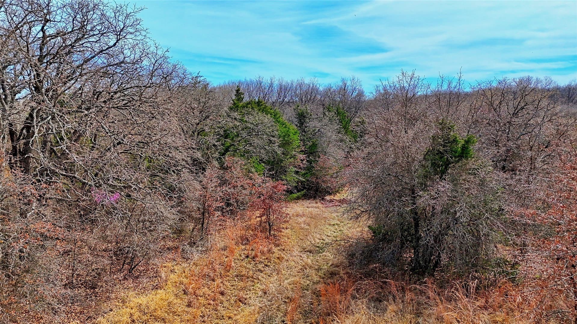 2.64 acres in Montague County - photo 20
