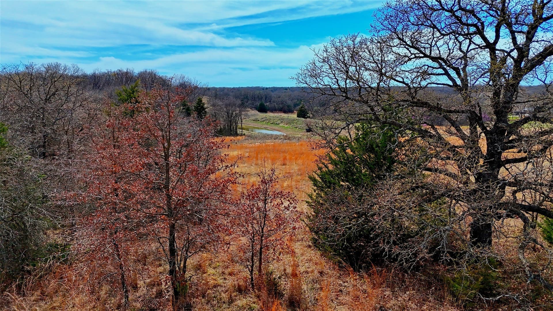 2.64 acres in Montague County - photo 6