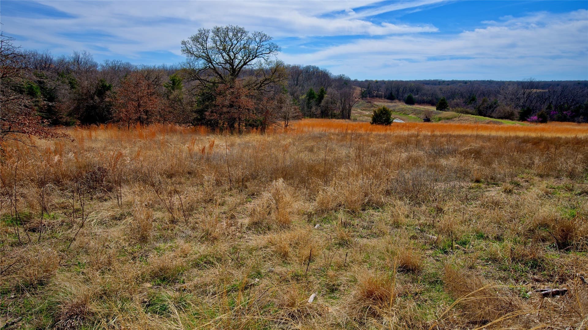 2.64 acres in Montague County - photo 13