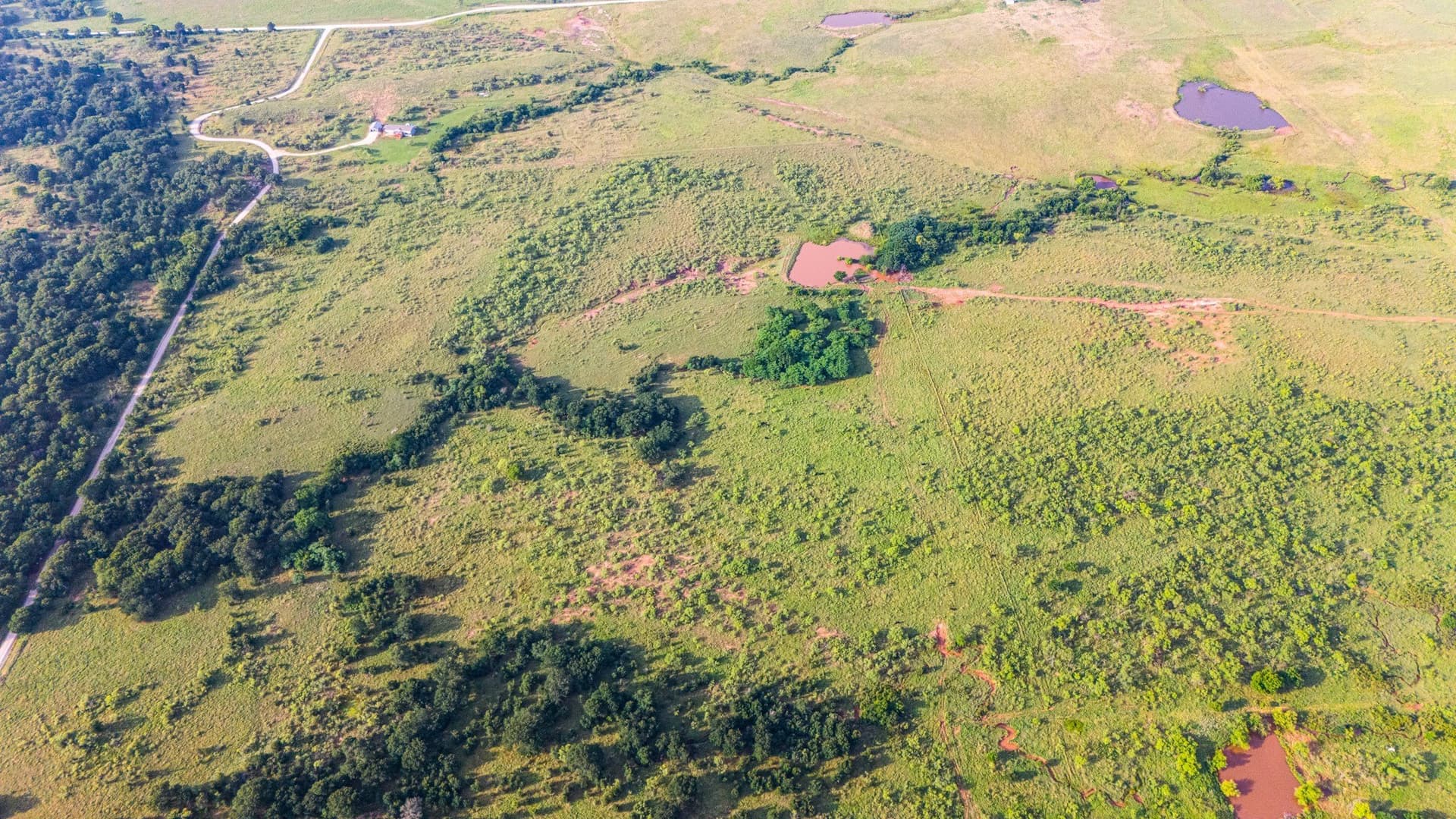 50 acres in Montague County - photo 8