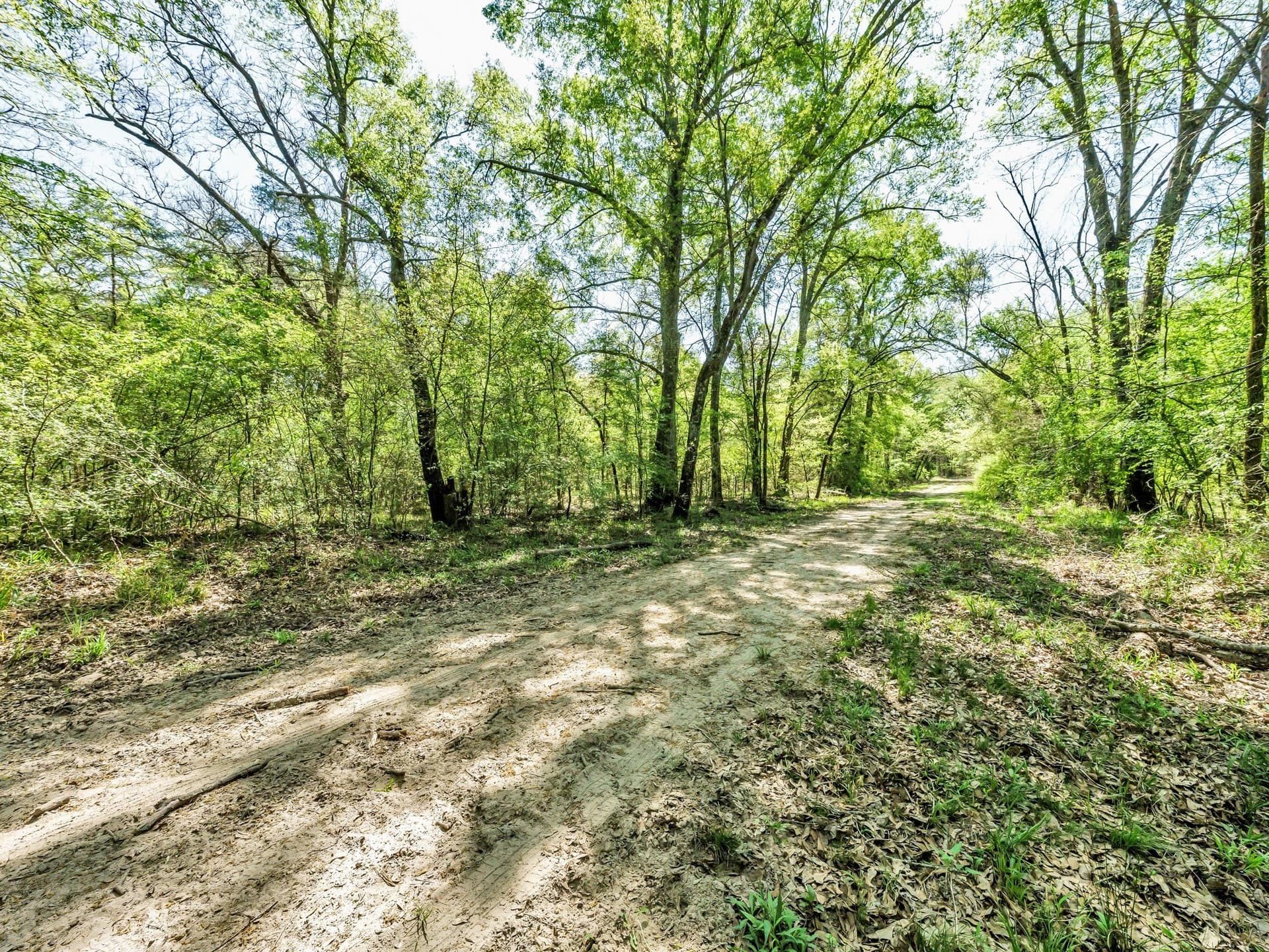 5.33 acres in Hunt County - photo 4