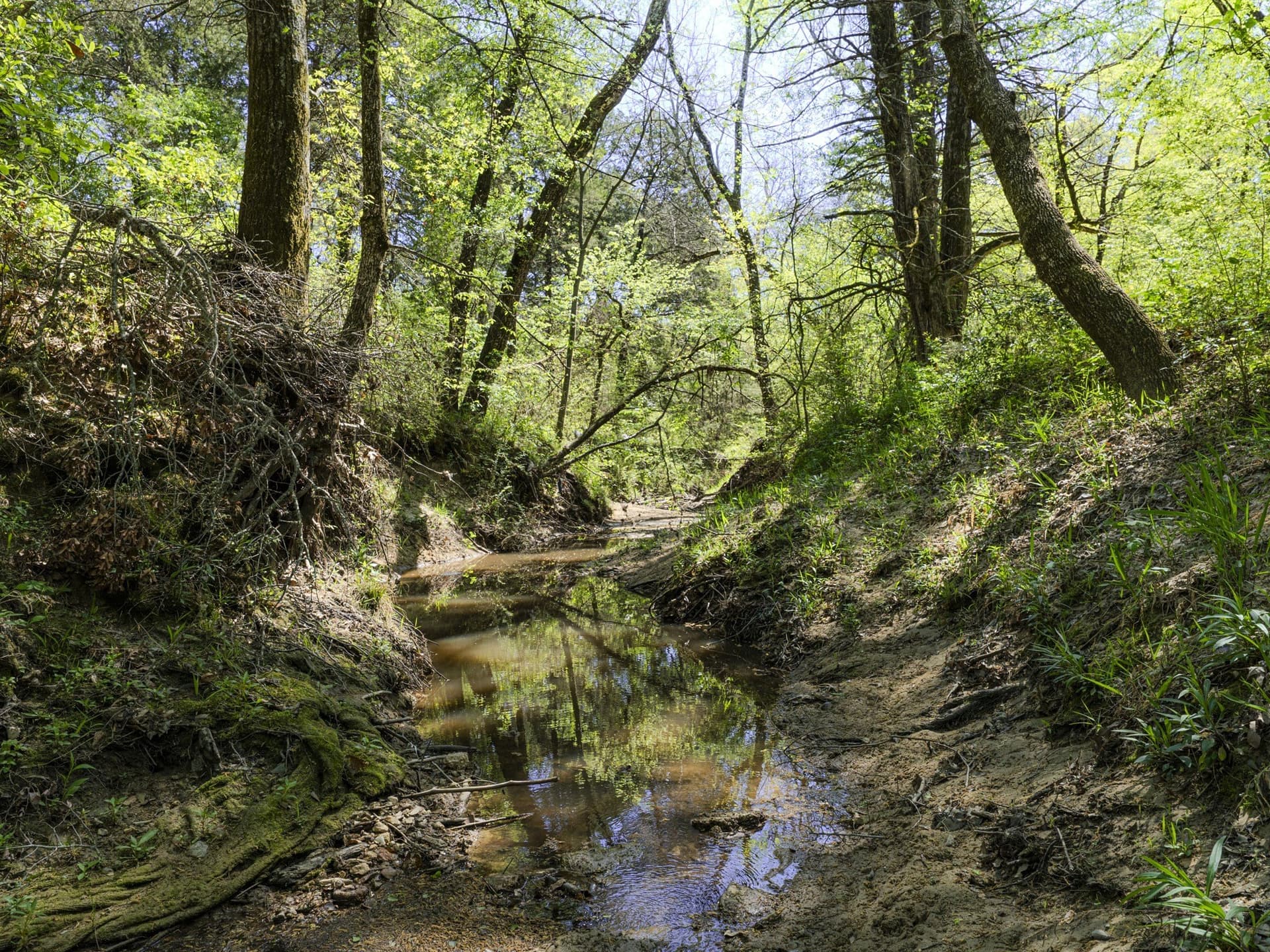 5.33 acres in Hunt County - photo 3