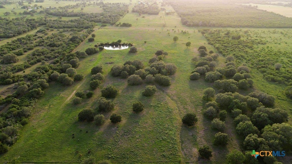 52.38 acres in DeWitt County gallery image 3