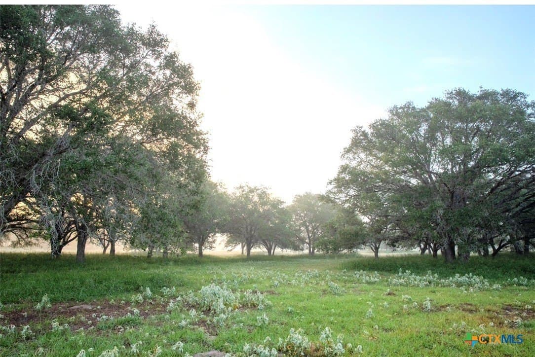 52.38 acres in DeWitt County - photo 6