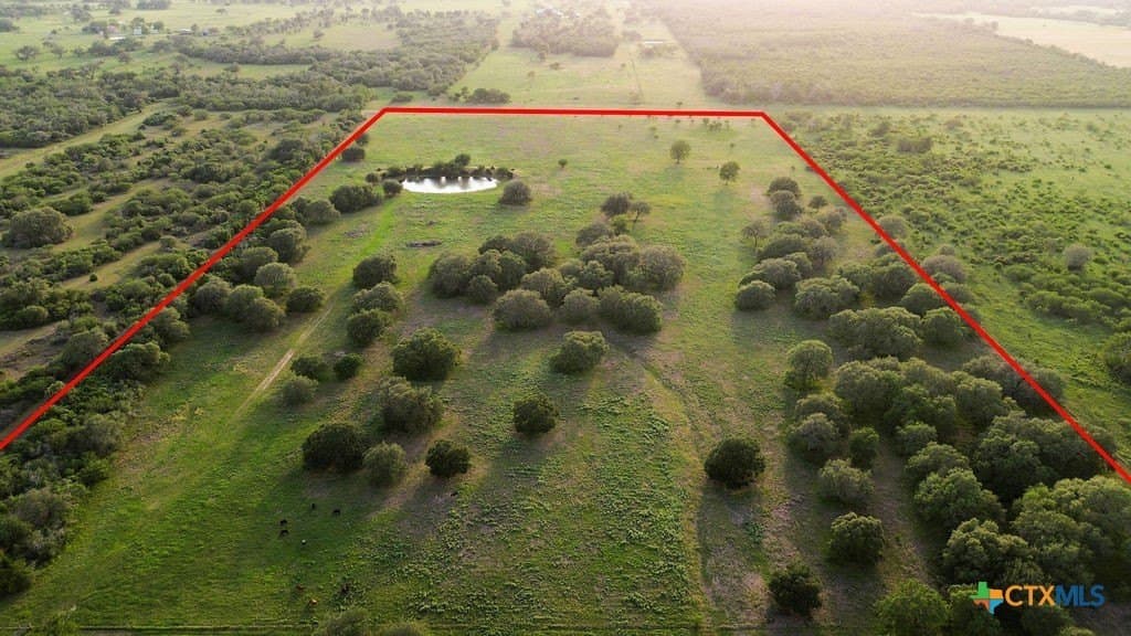 52.38 acres in DeWitt County gallery image 4