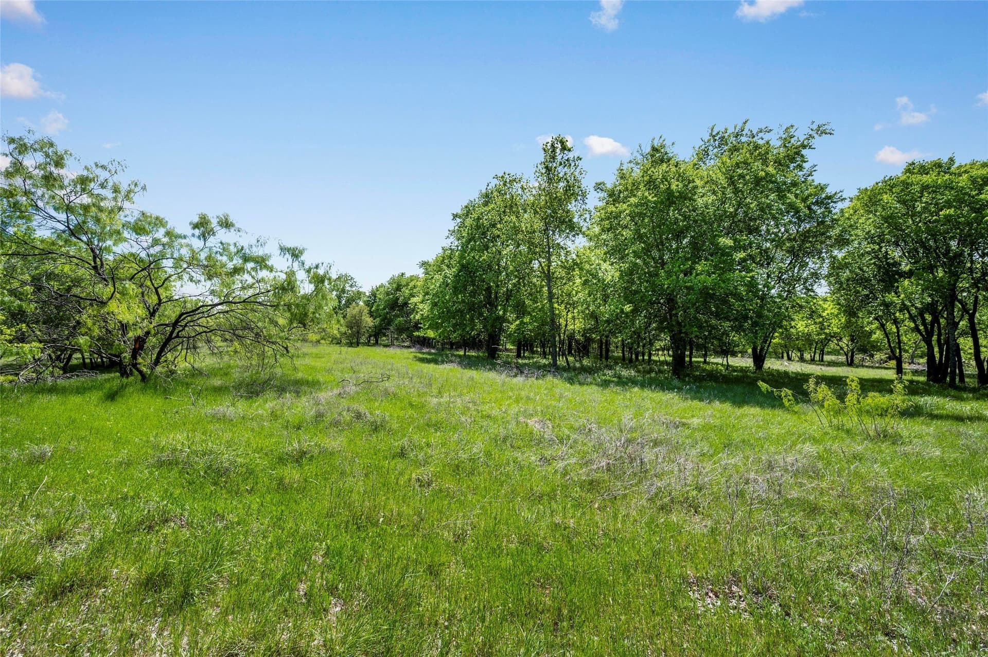 134.99 acres in Tarrant County - photo 35