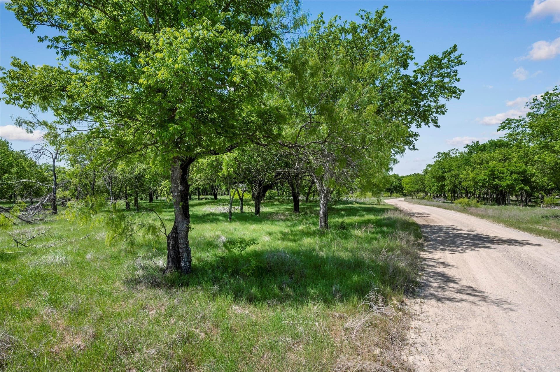 134.99 acres in Tarrant County - photo 30