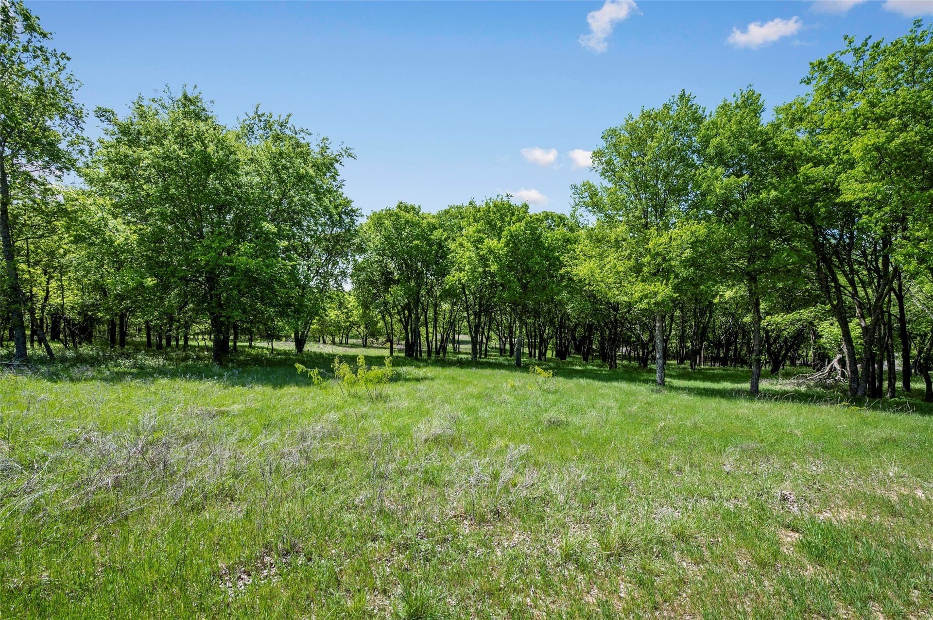 134.99 acres in Tarrant County - photo 34