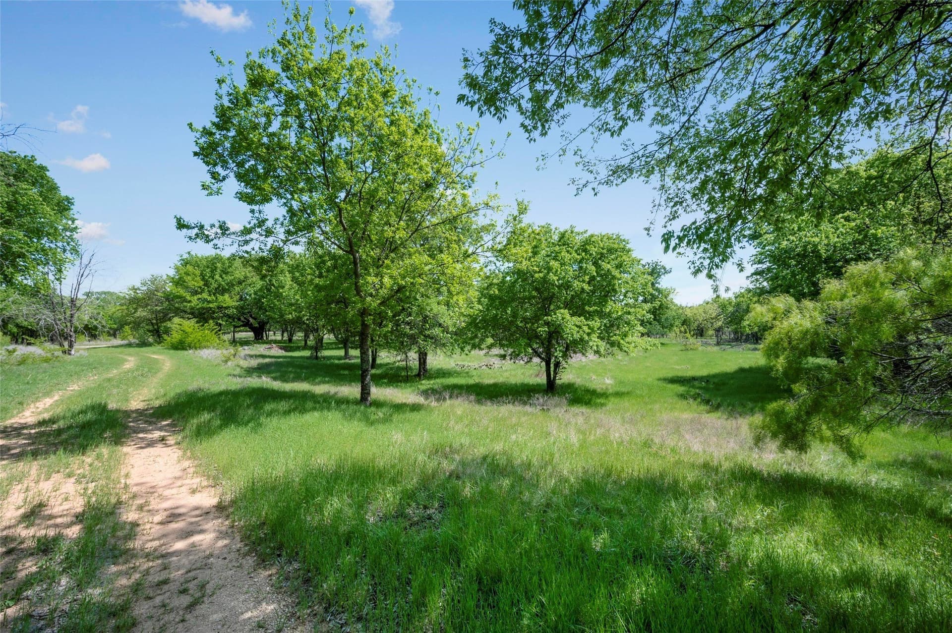 134.99 acres in Tarrant County - photo 33