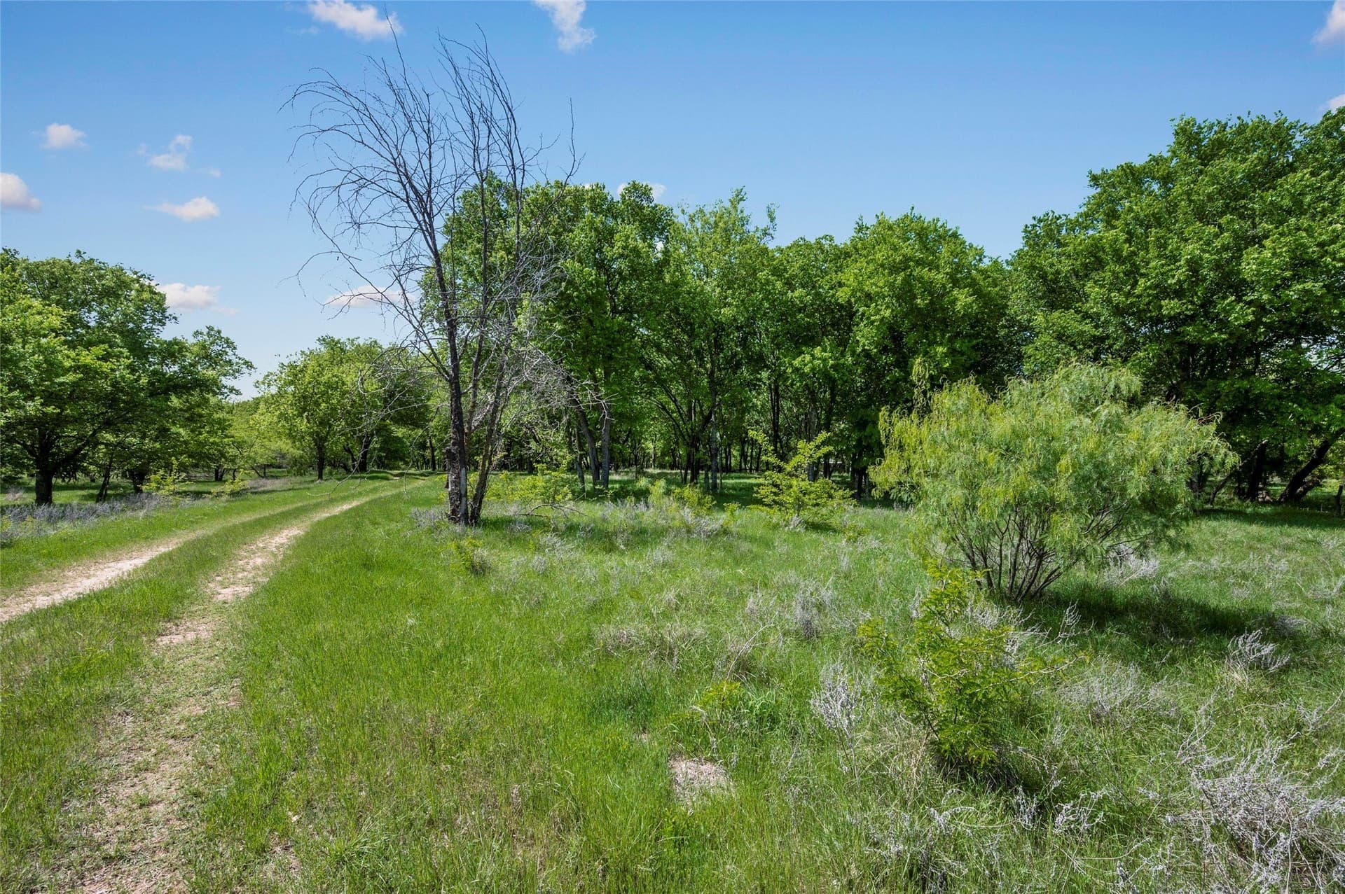 134.99 acres in Tarrant County gallery image 4