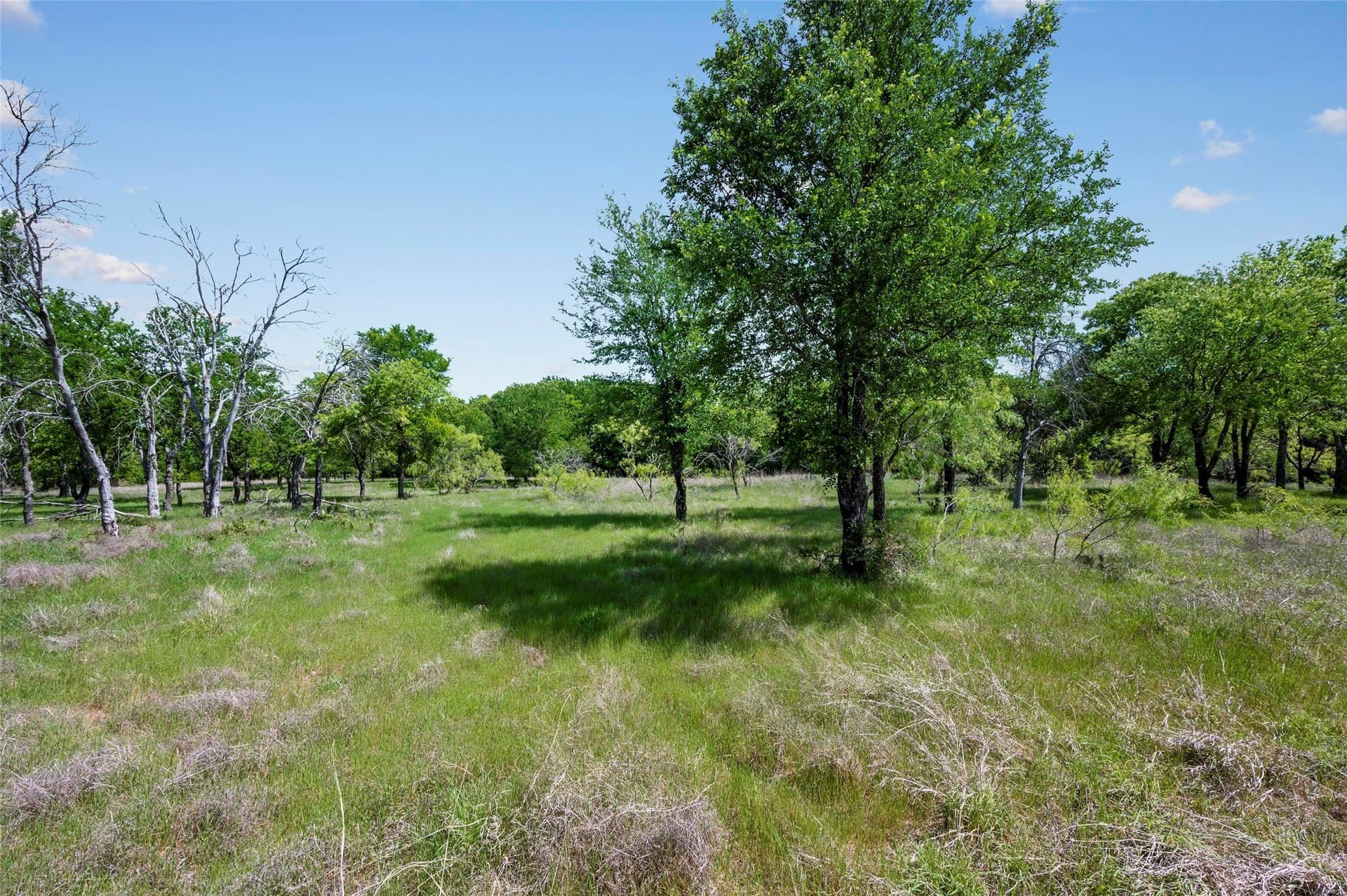 134.99 acres in Tarrant County - photo 29