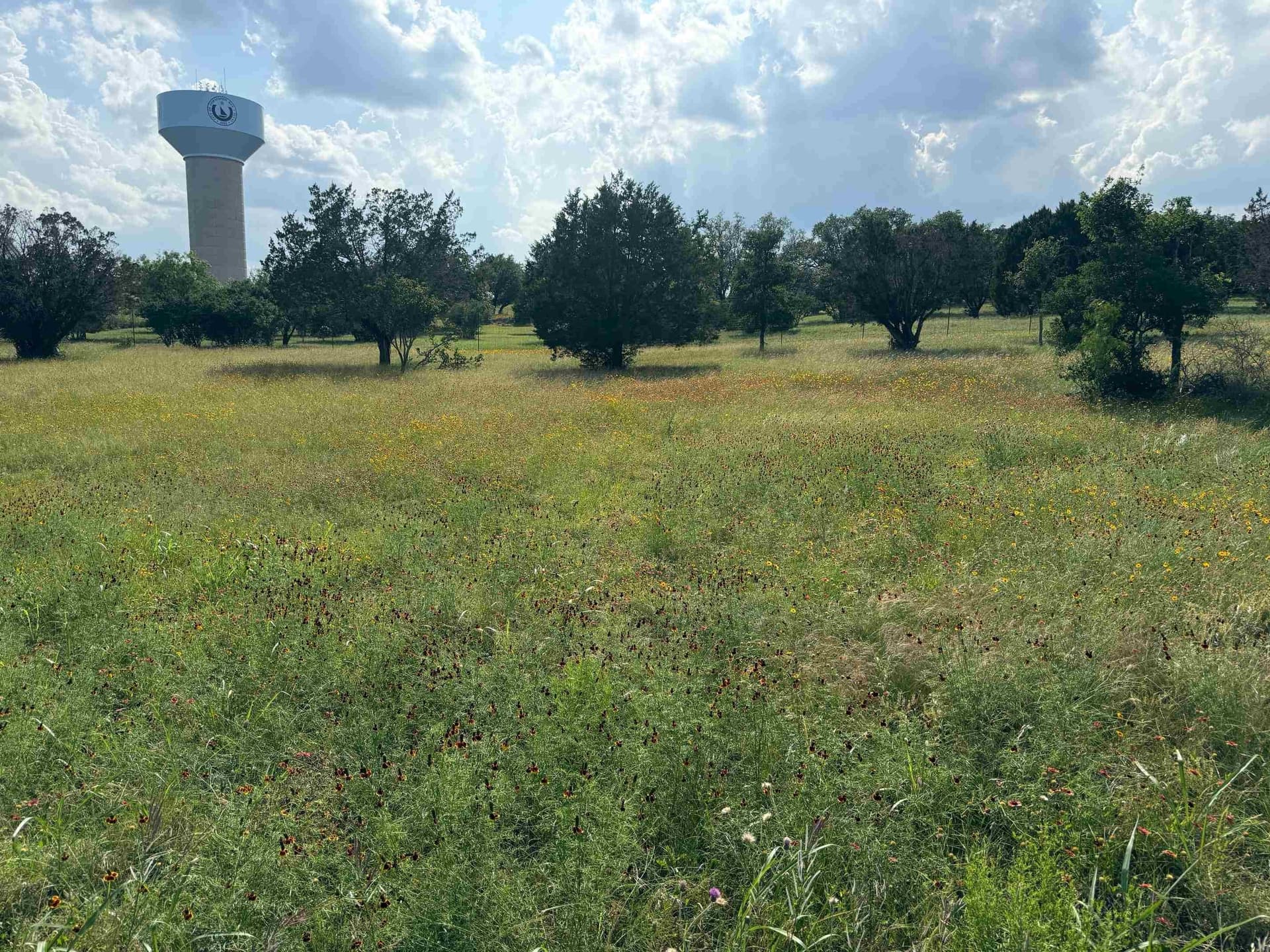 0.12 acres in Llano County gallery image 2