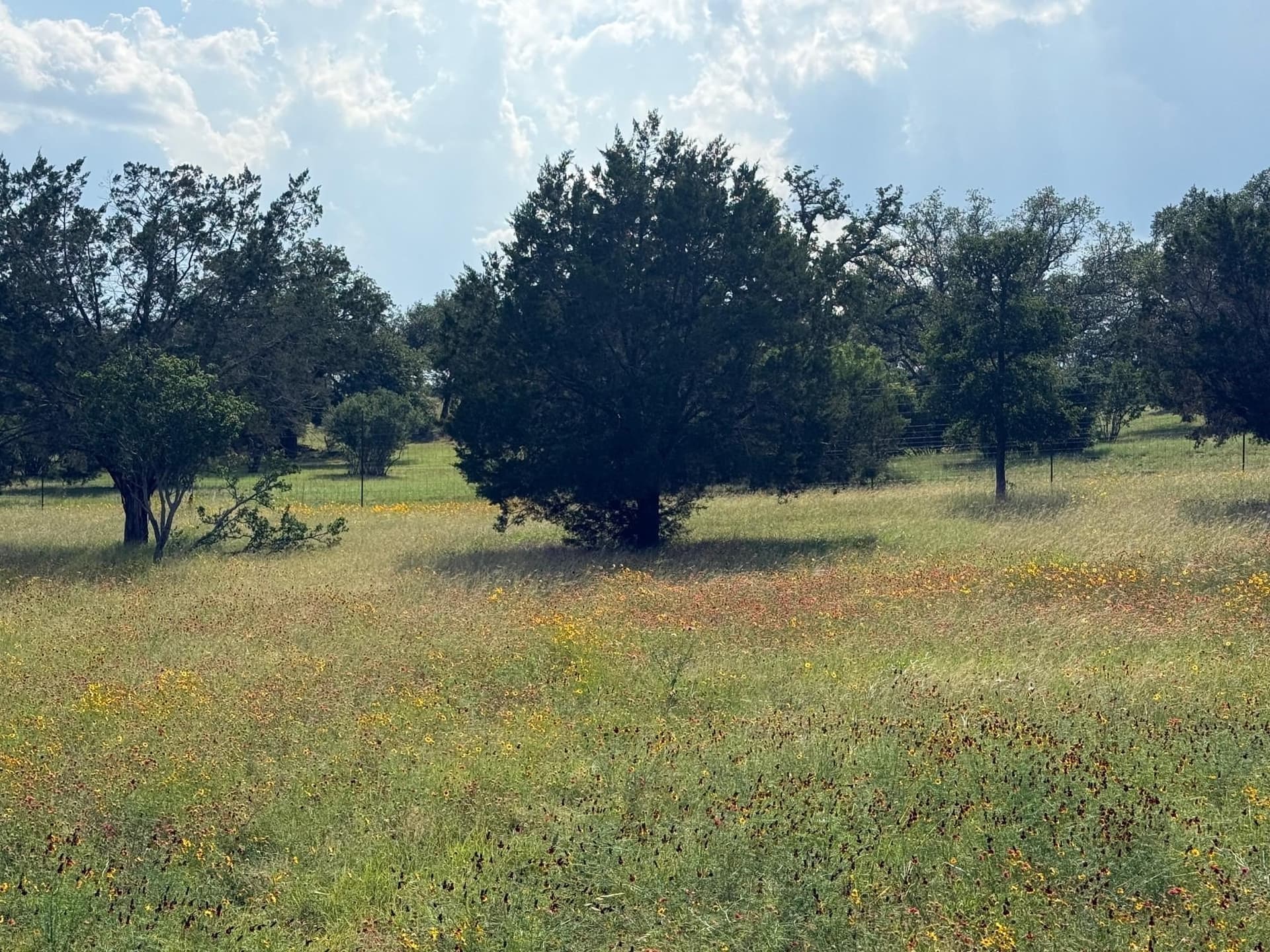 0.12 acres in Llano County gallery image 3