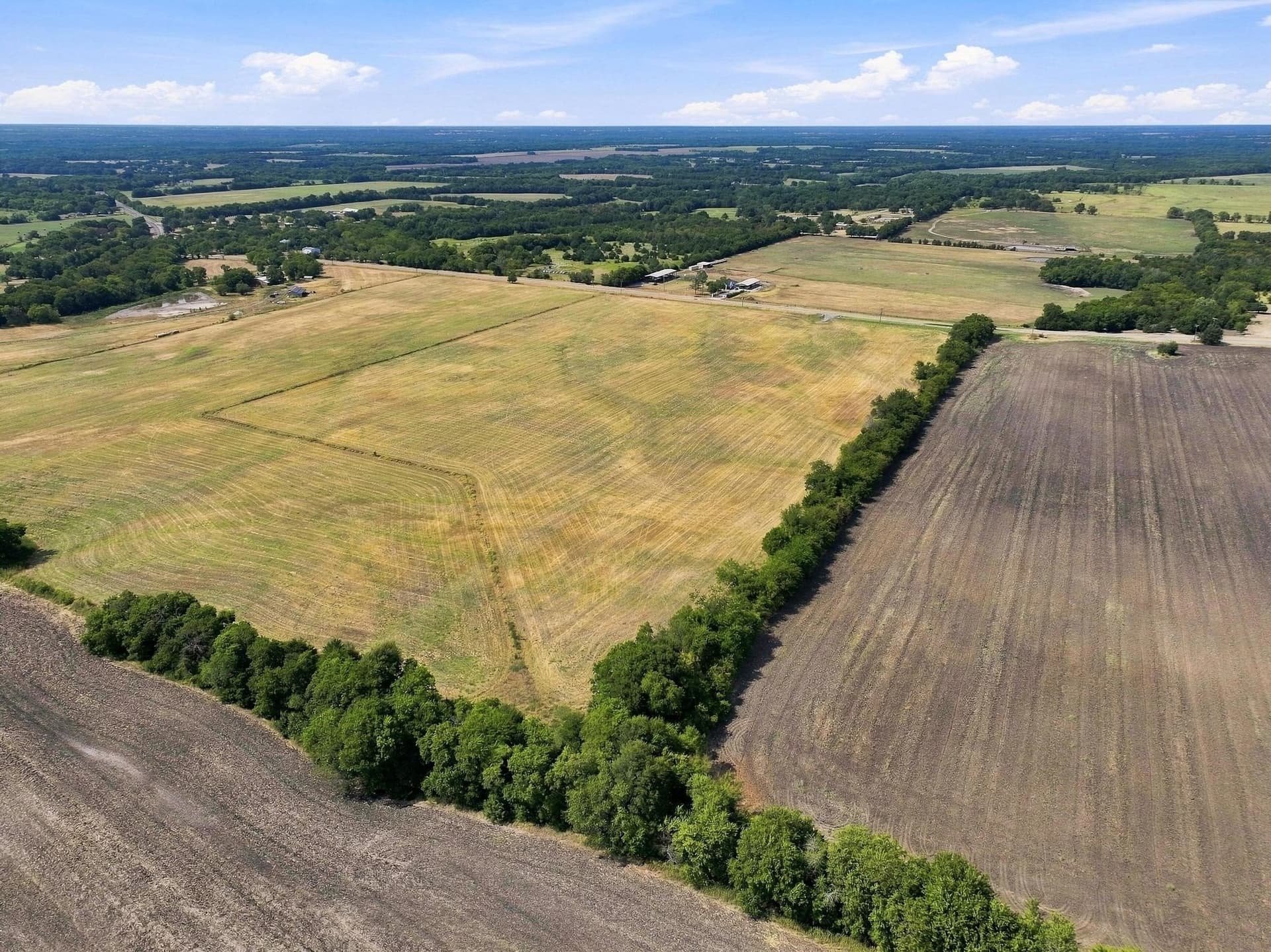 11 acres in Fannin County - photo 15