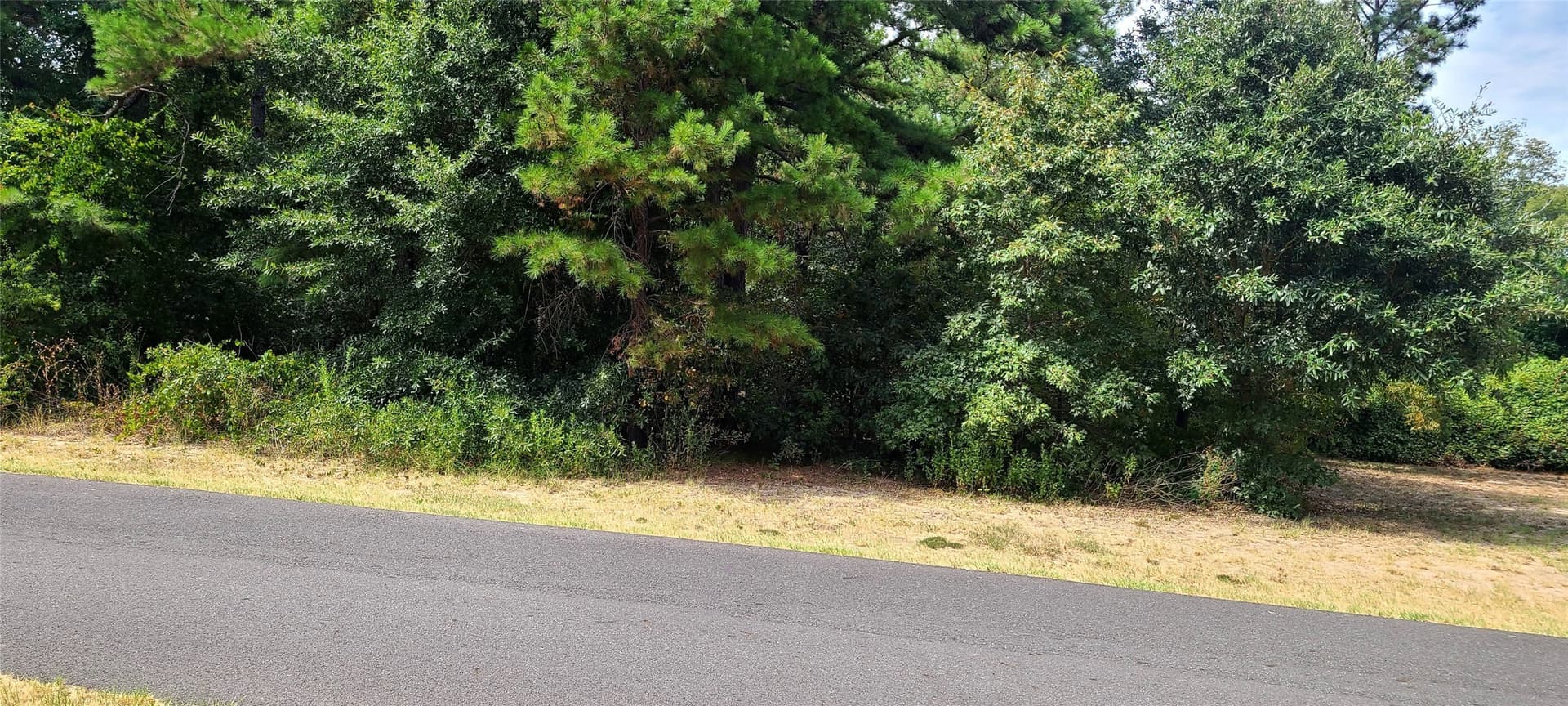 0.25 acres in Smith County - photo 3