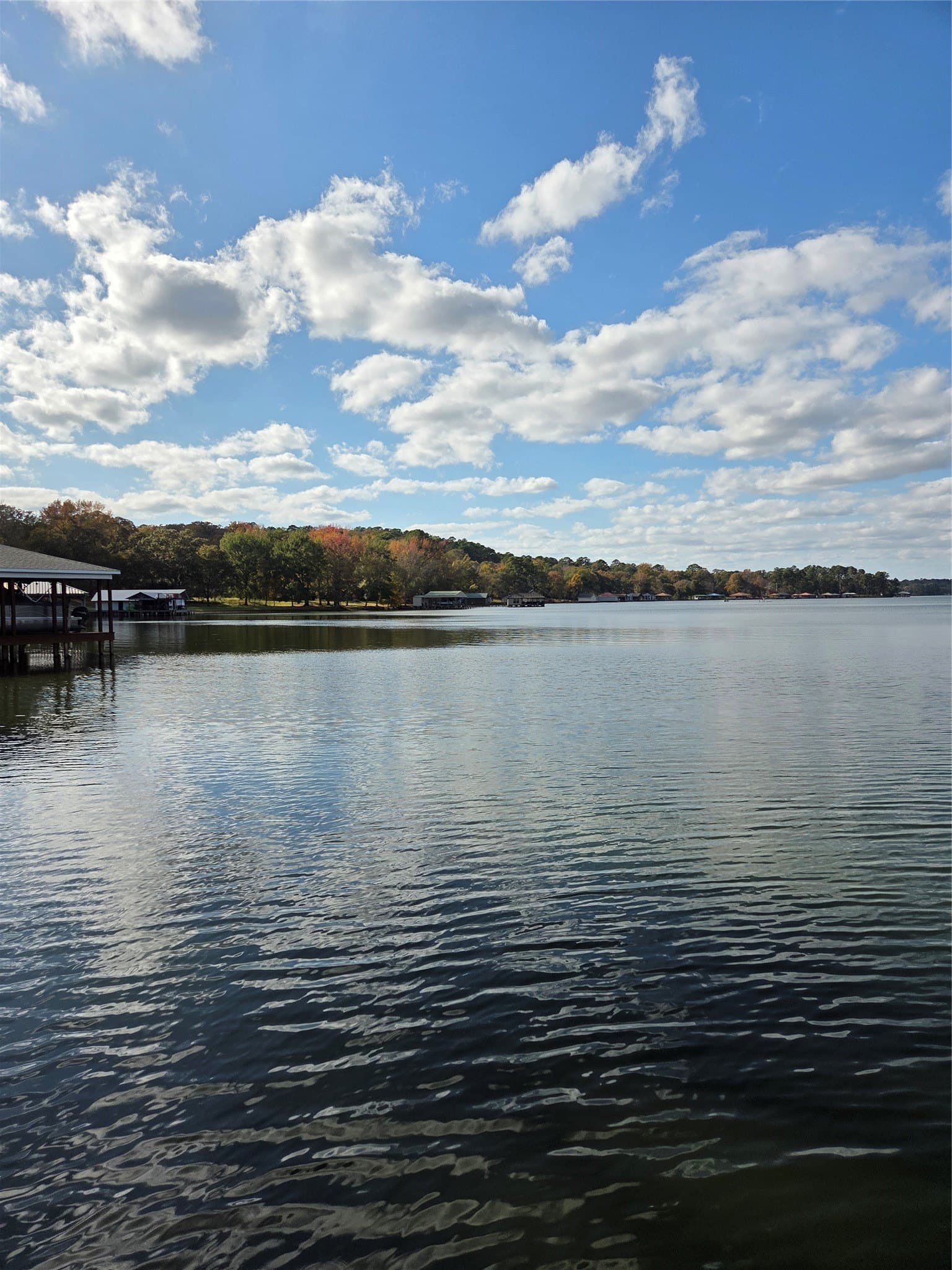 0.25 acres in Smith County - photo 9