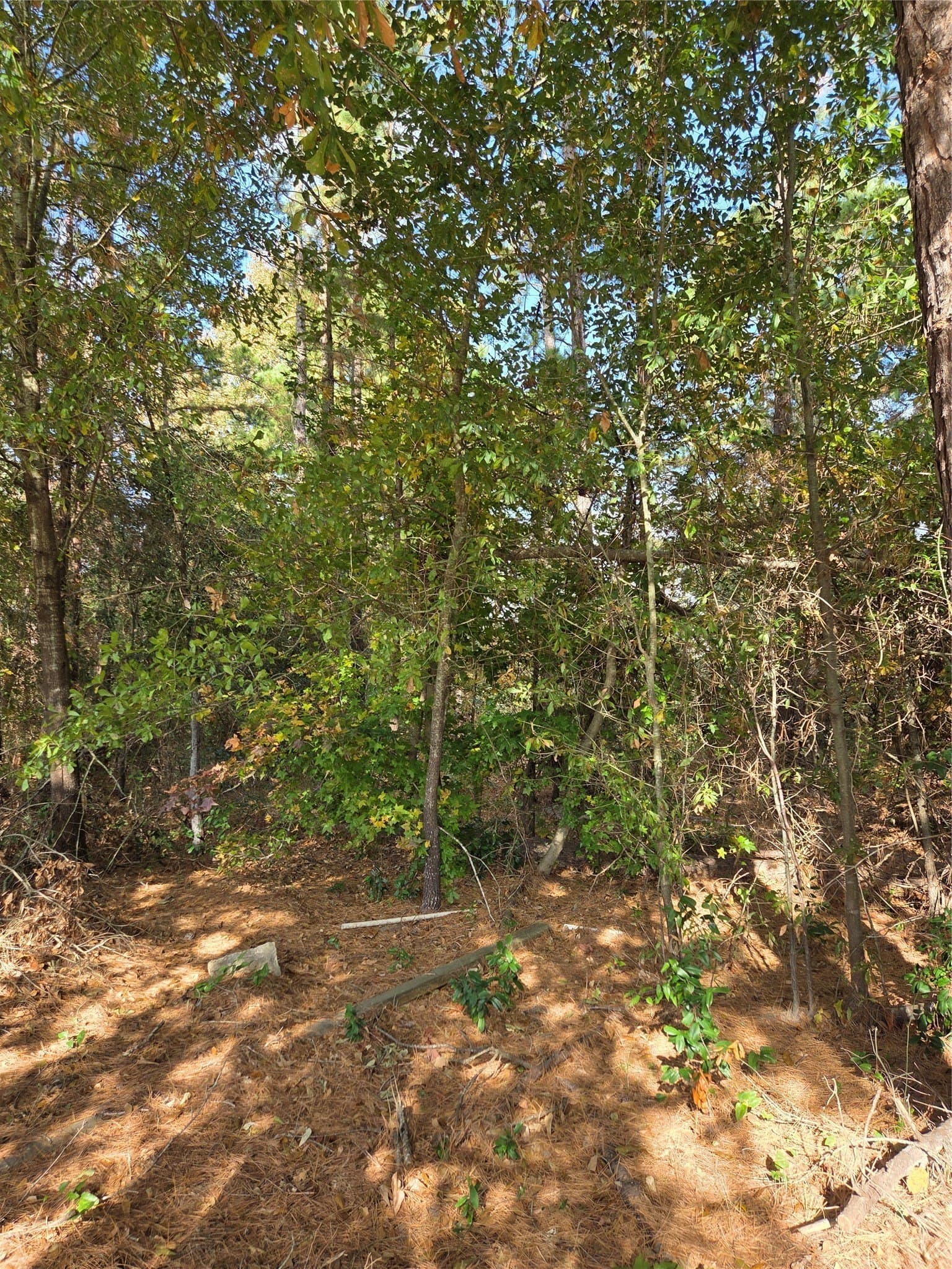0.25 acres in Smith County - photo 4