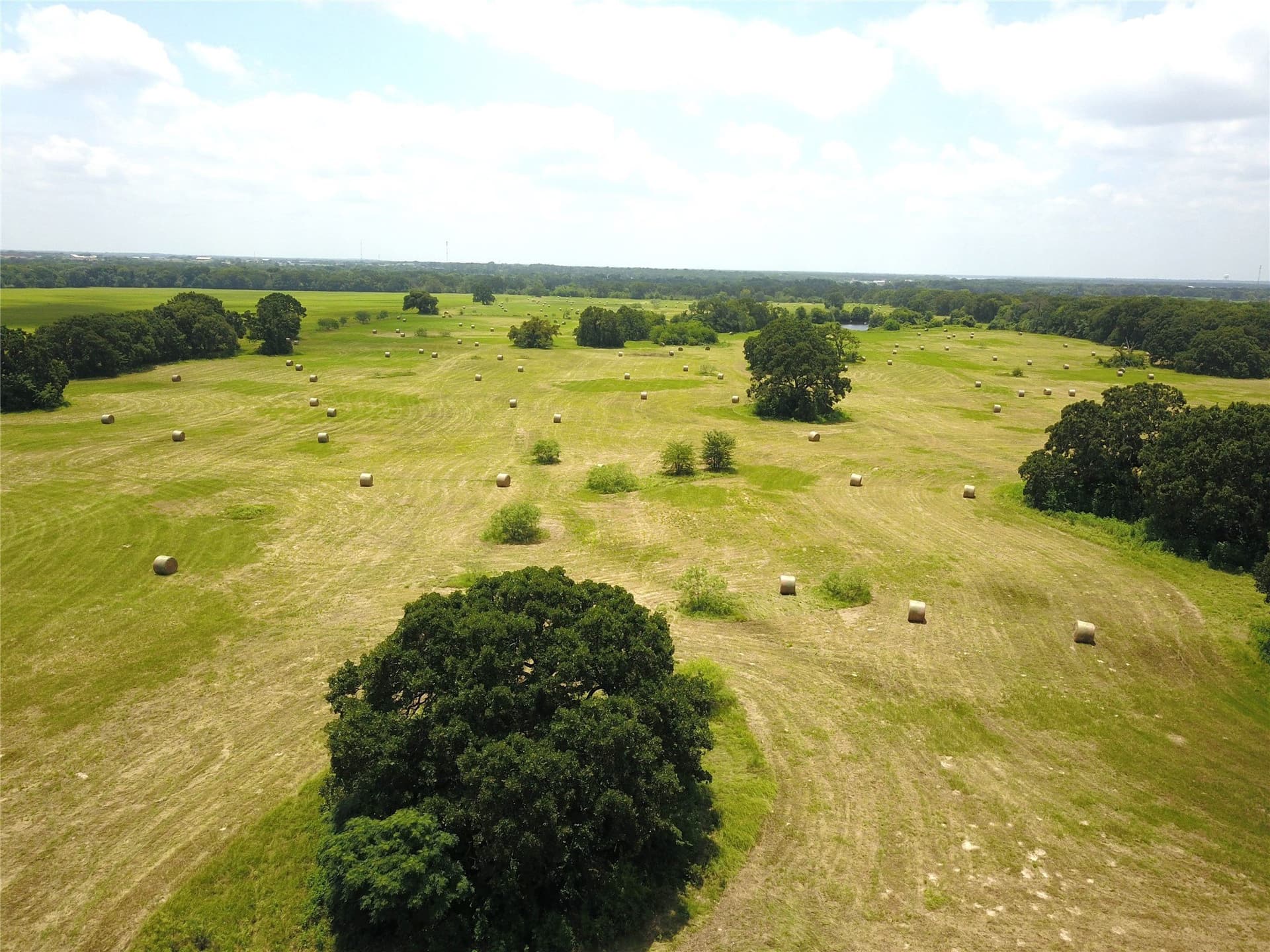 43.29 acres in Henderson County - photo 12