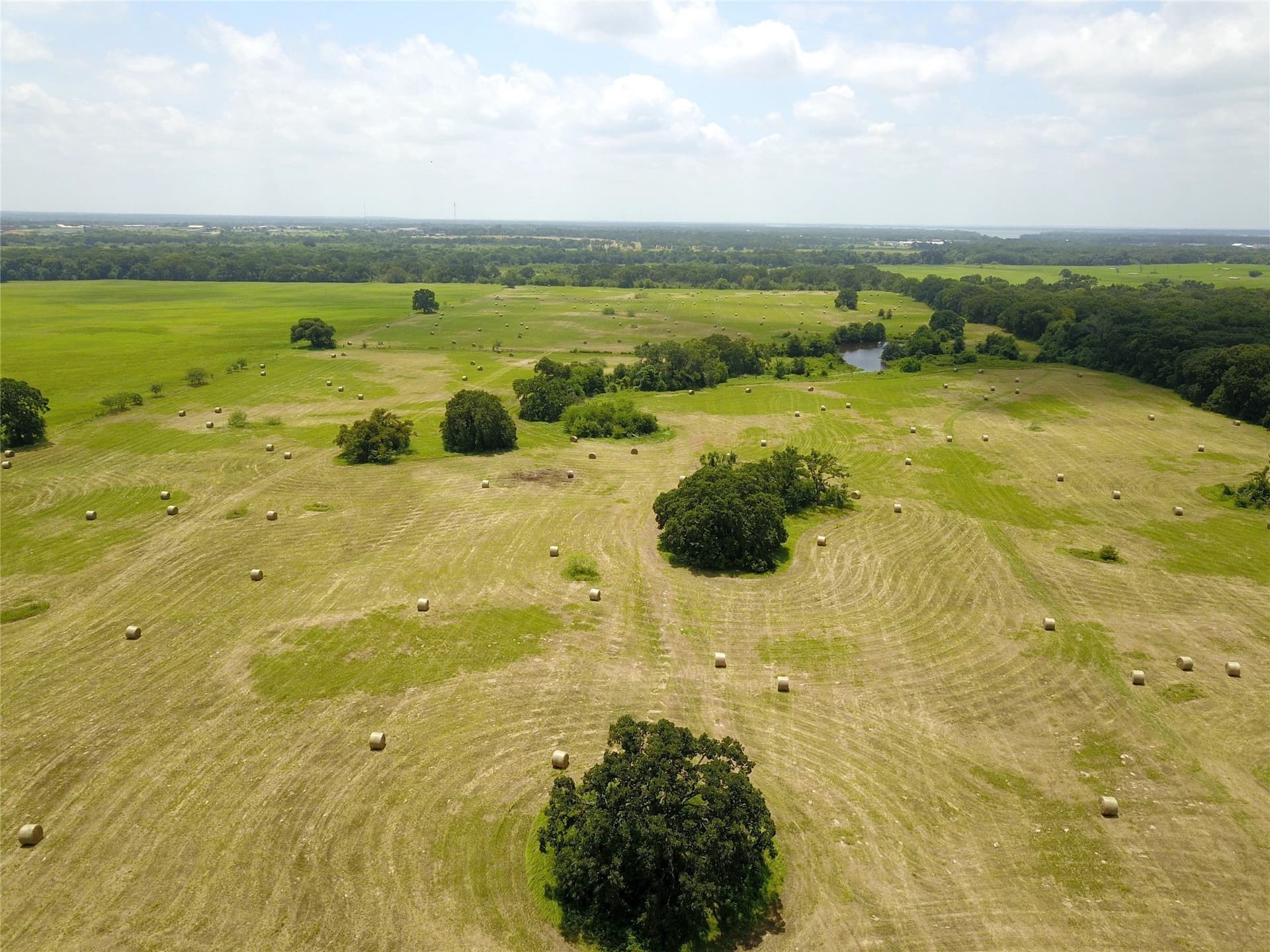 43.29 acres in Henderson County gallery image 3