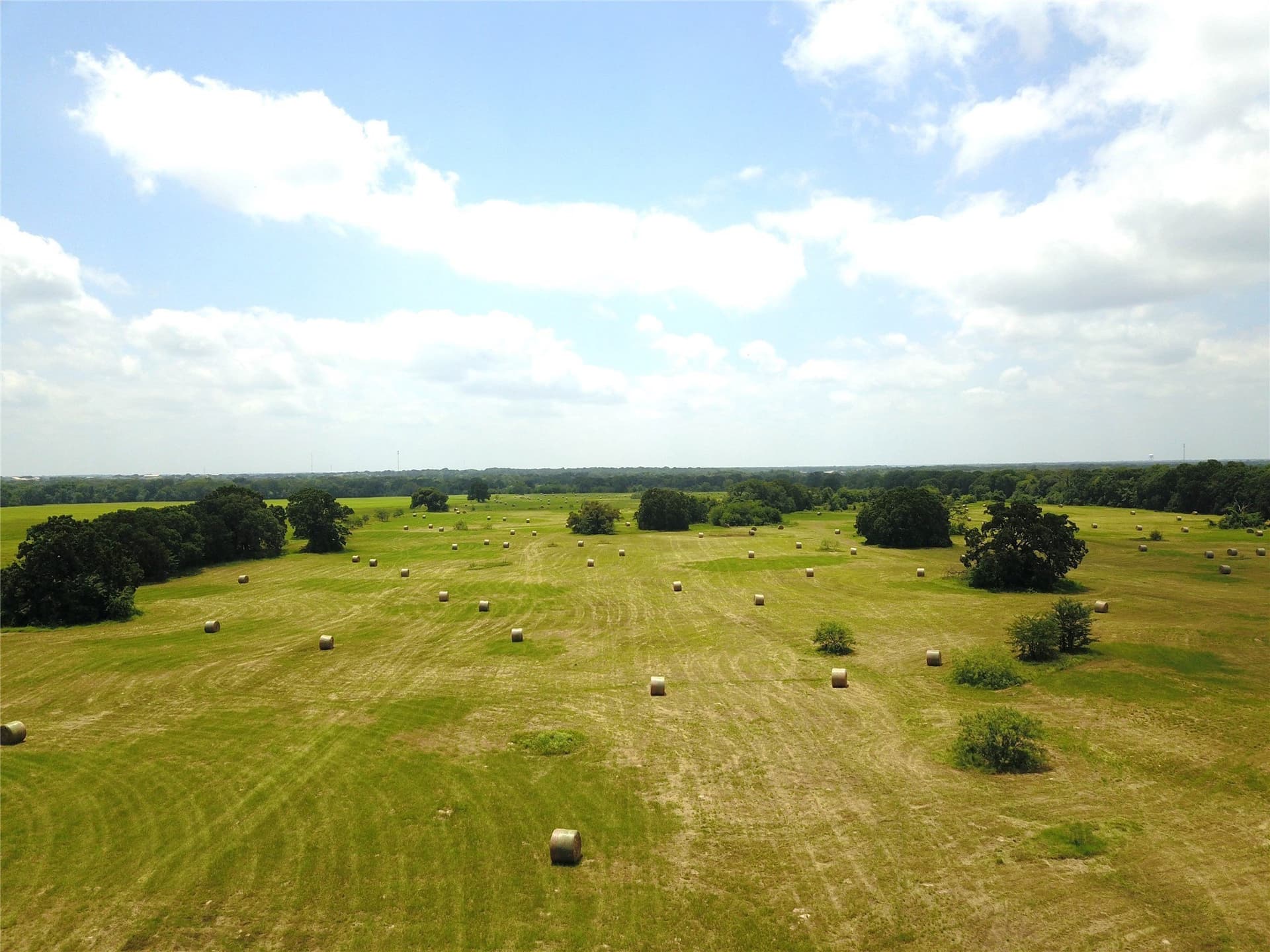 43.29 acres in Henderson County - photo 14