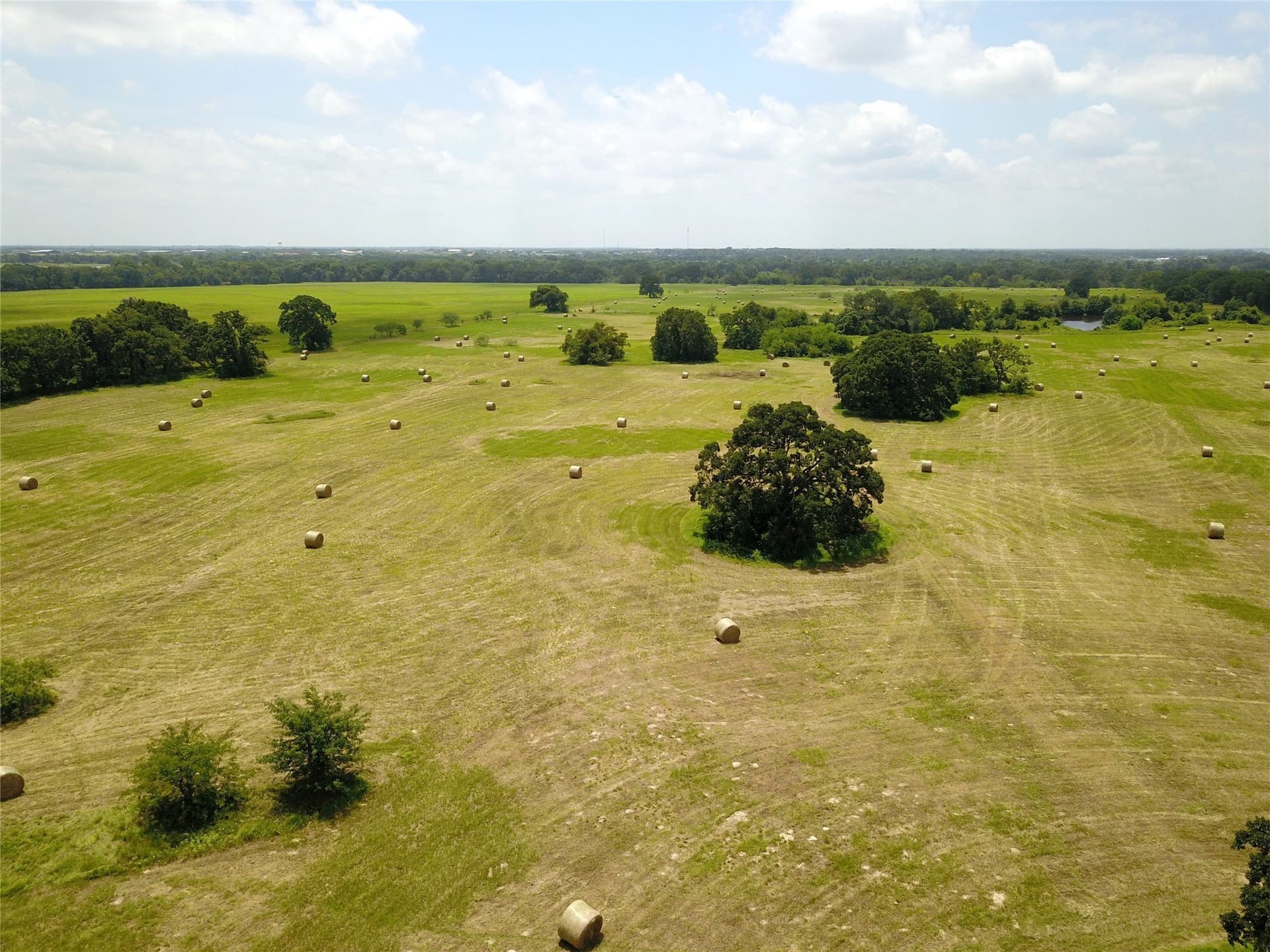43.29 acres in Henderson County gallery image 2