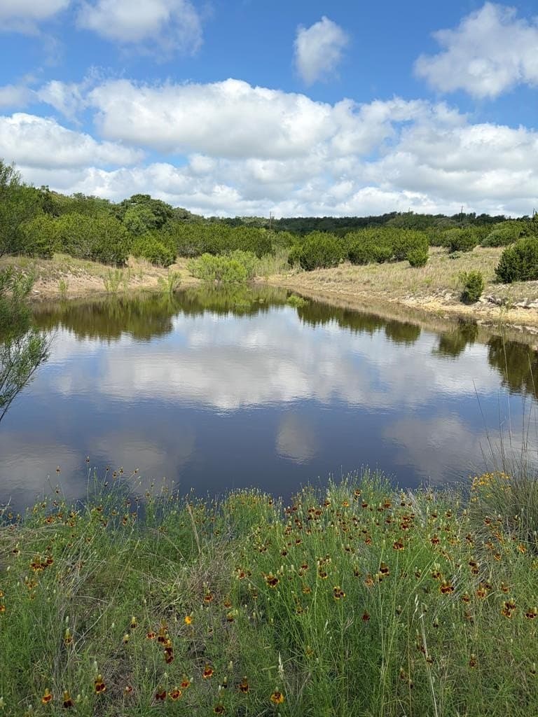 30.12 acres in Blanco County - photo 9
