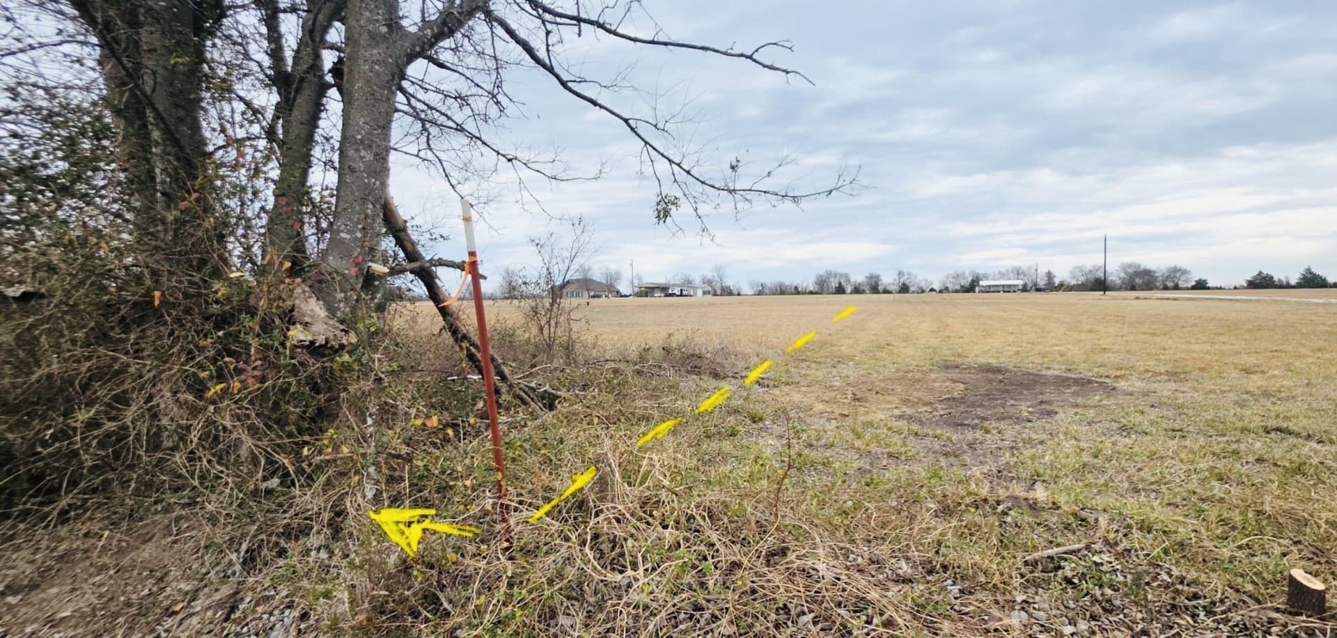 5 acres in Lamar County gallery image 4