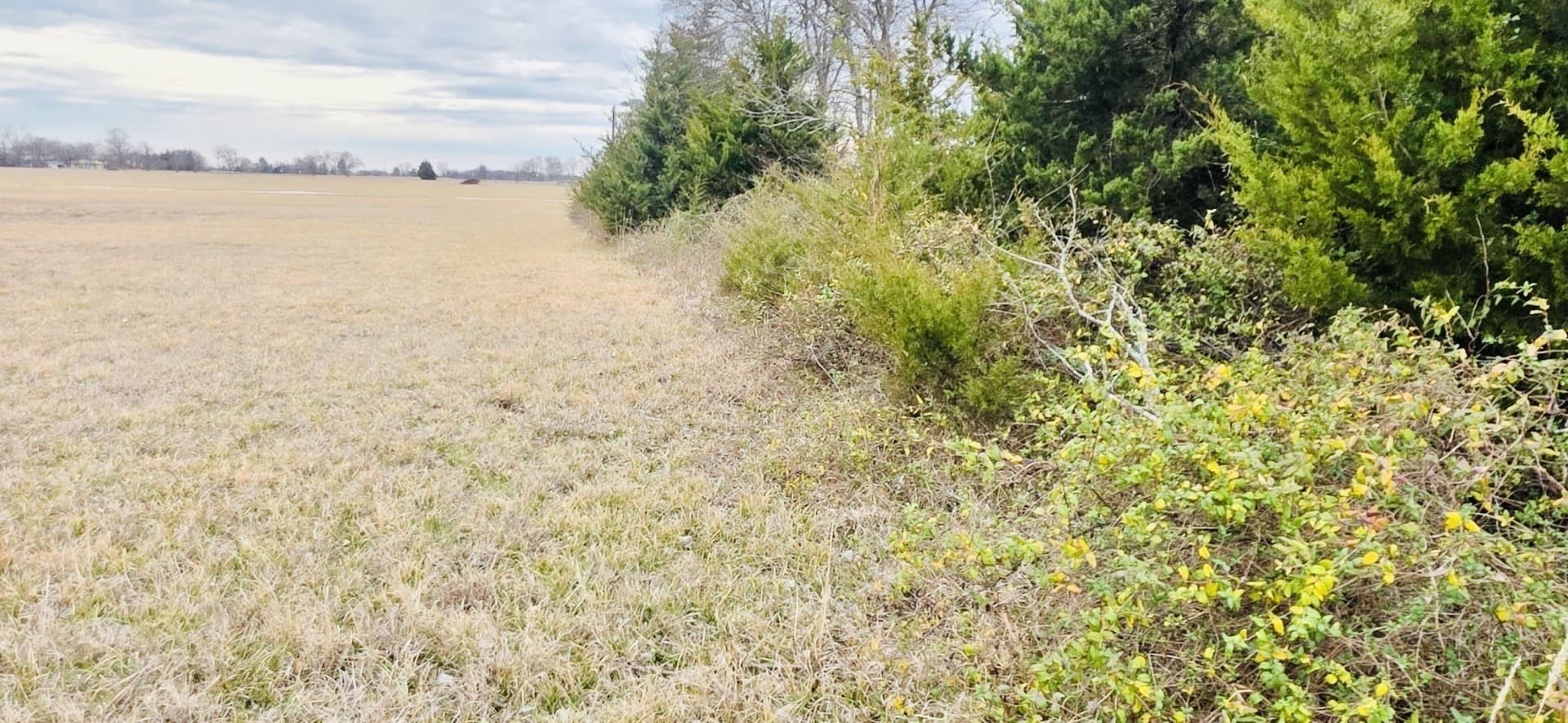 5 acres in Lamar County