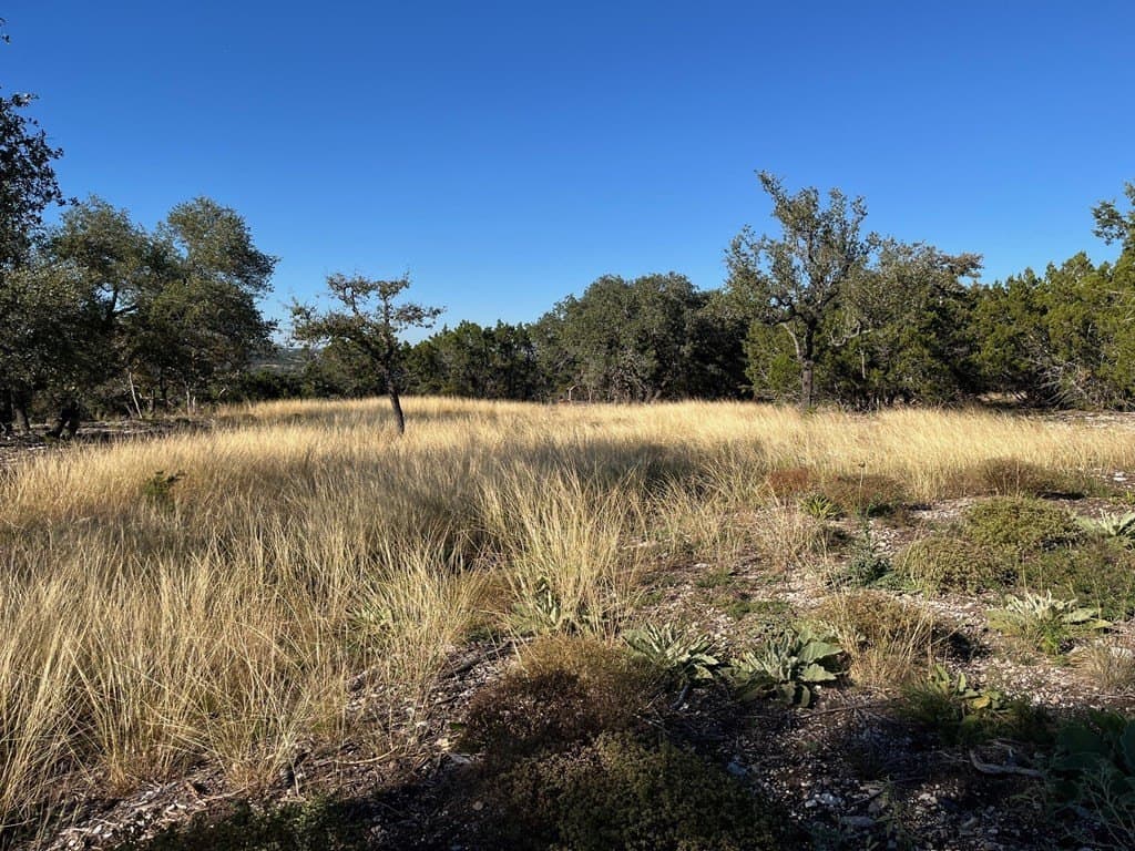 10.02 acres in Gillespie County gallery image 3