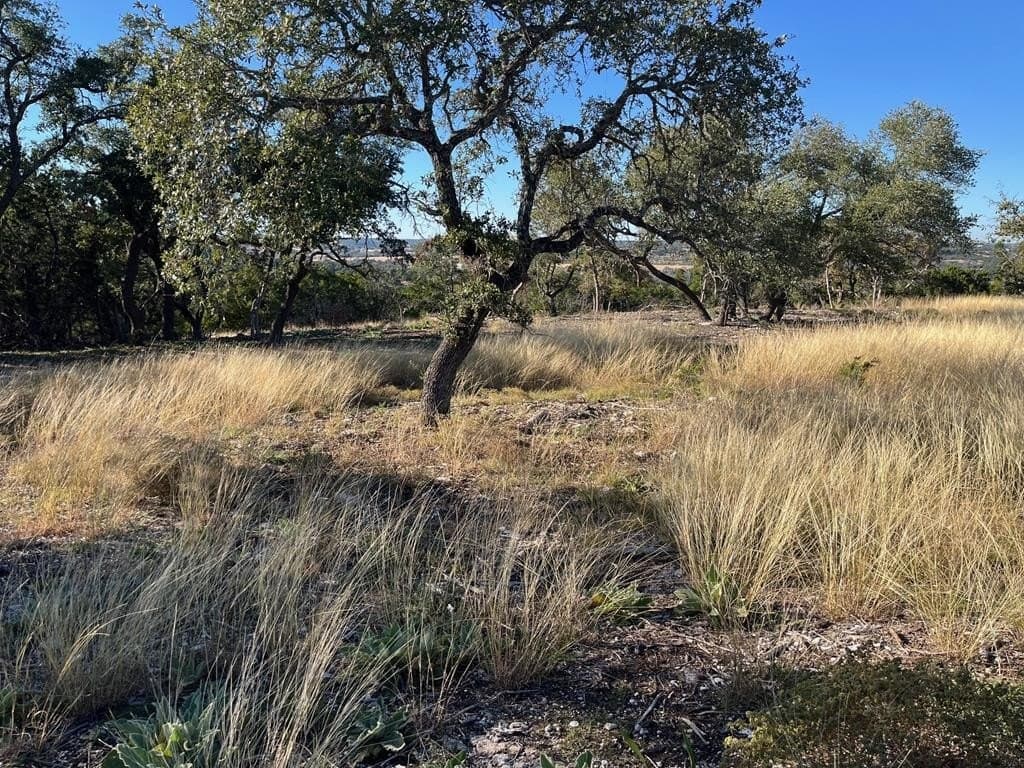 10.02 acres in Gillespie County gallery image 2