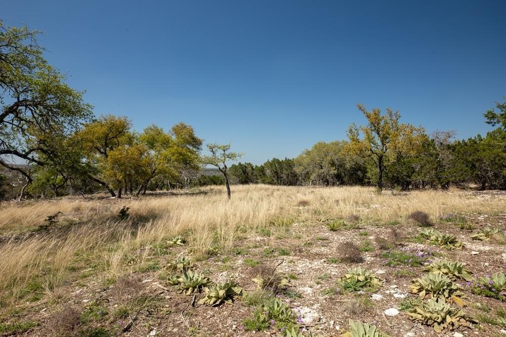 10.02 acres in Gillespie County - photo 8