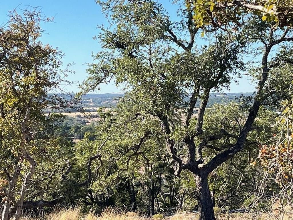 10.02 acres in Gillespie County
