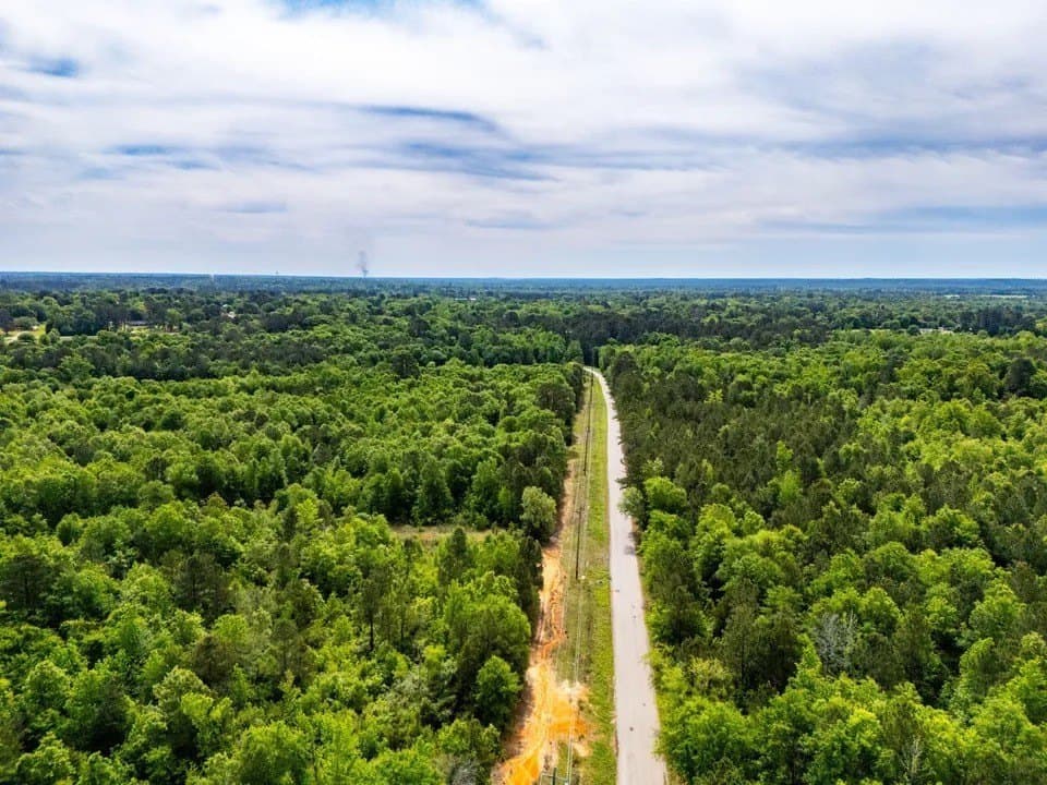 63.75 acres in Upshur County gallery image 2