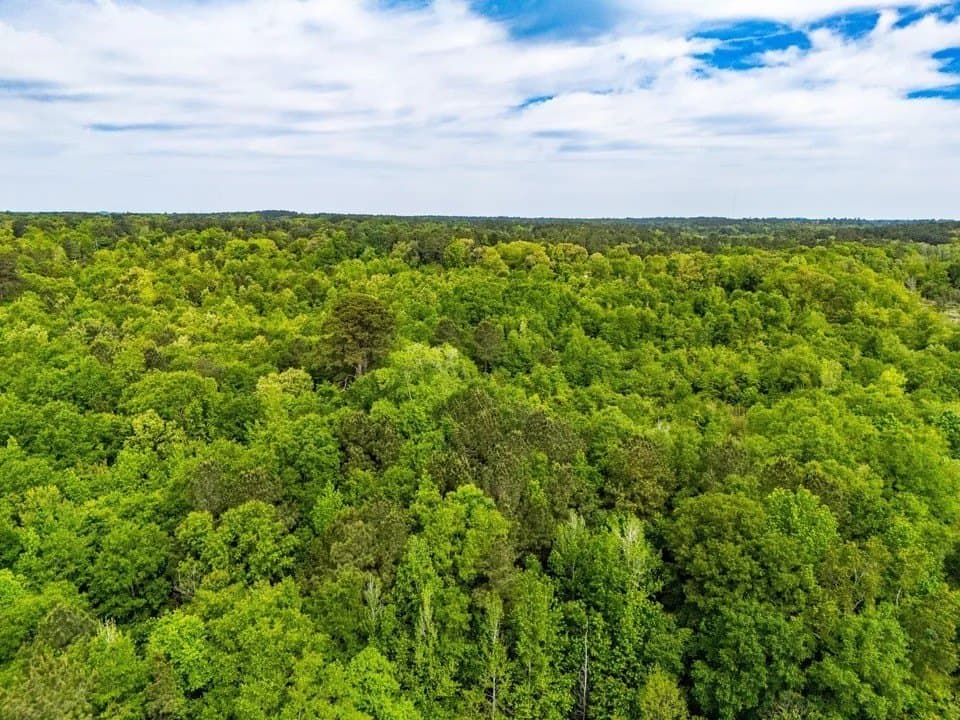 63.75 acres in Upshur County gallery image 3