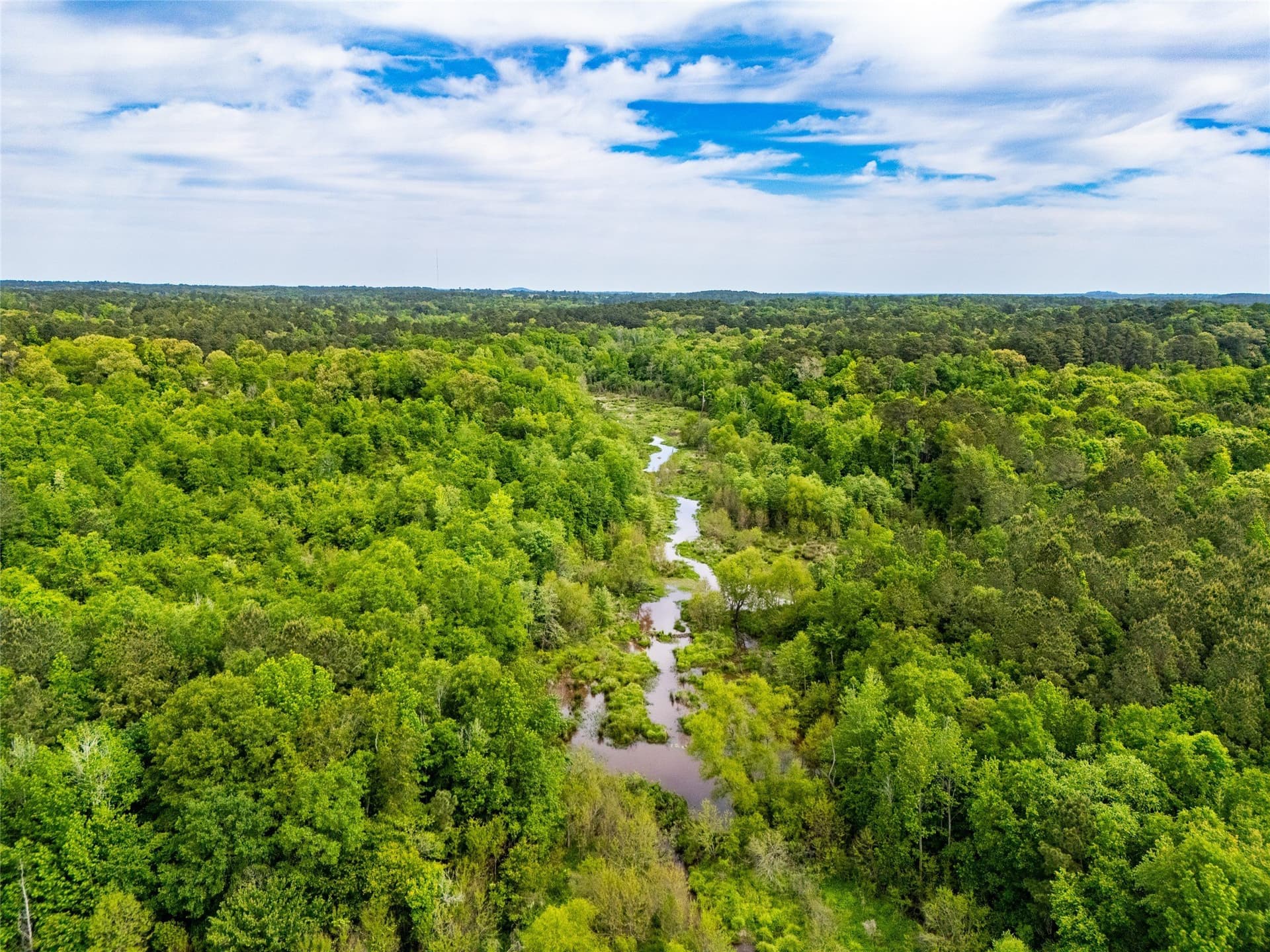 63.75 acres in Upshur County gallery image 4