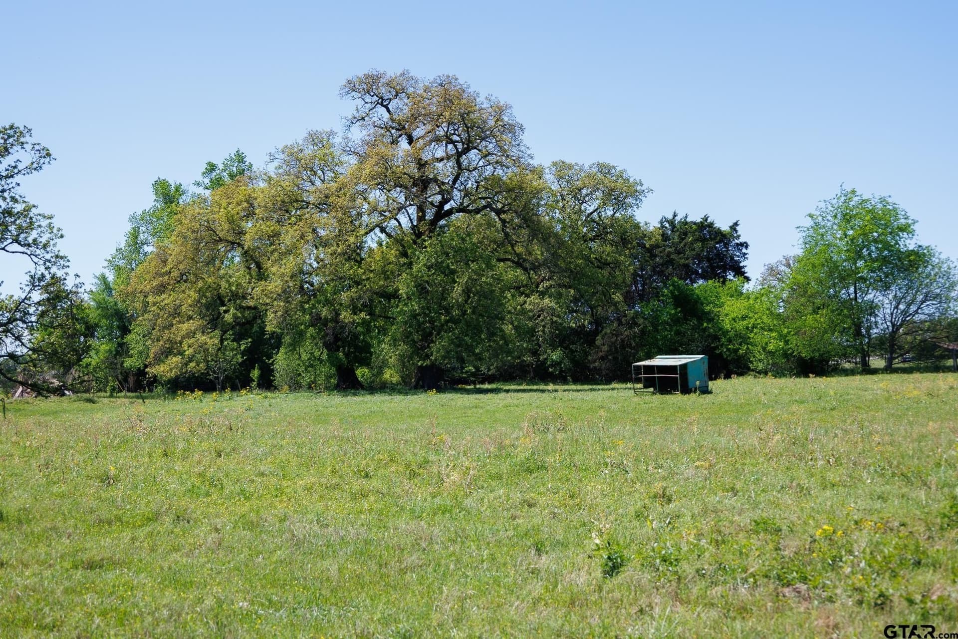 31.74 acres in Smith County - photo 34