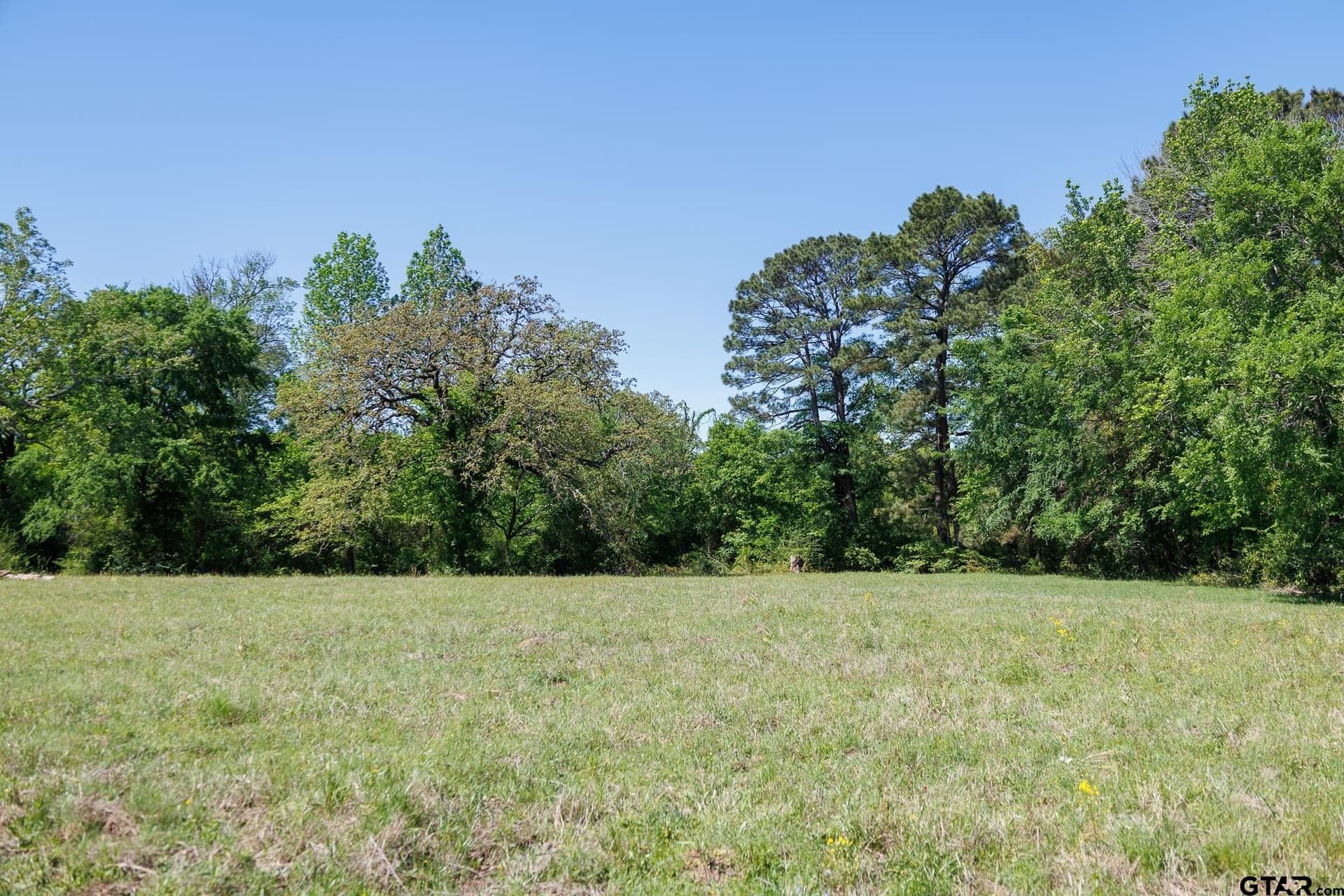 31.74 acres in Smith County - photo 32