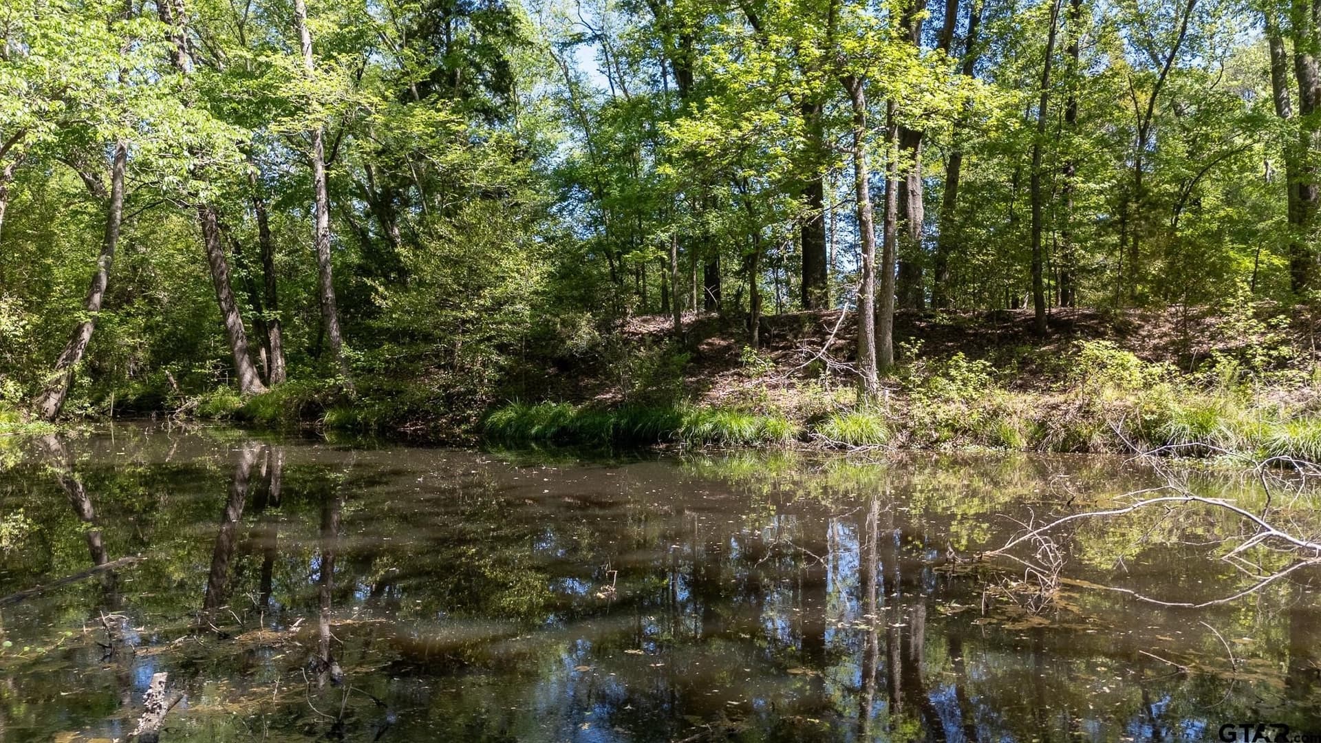 31.74 acres in Smith County - photo 17