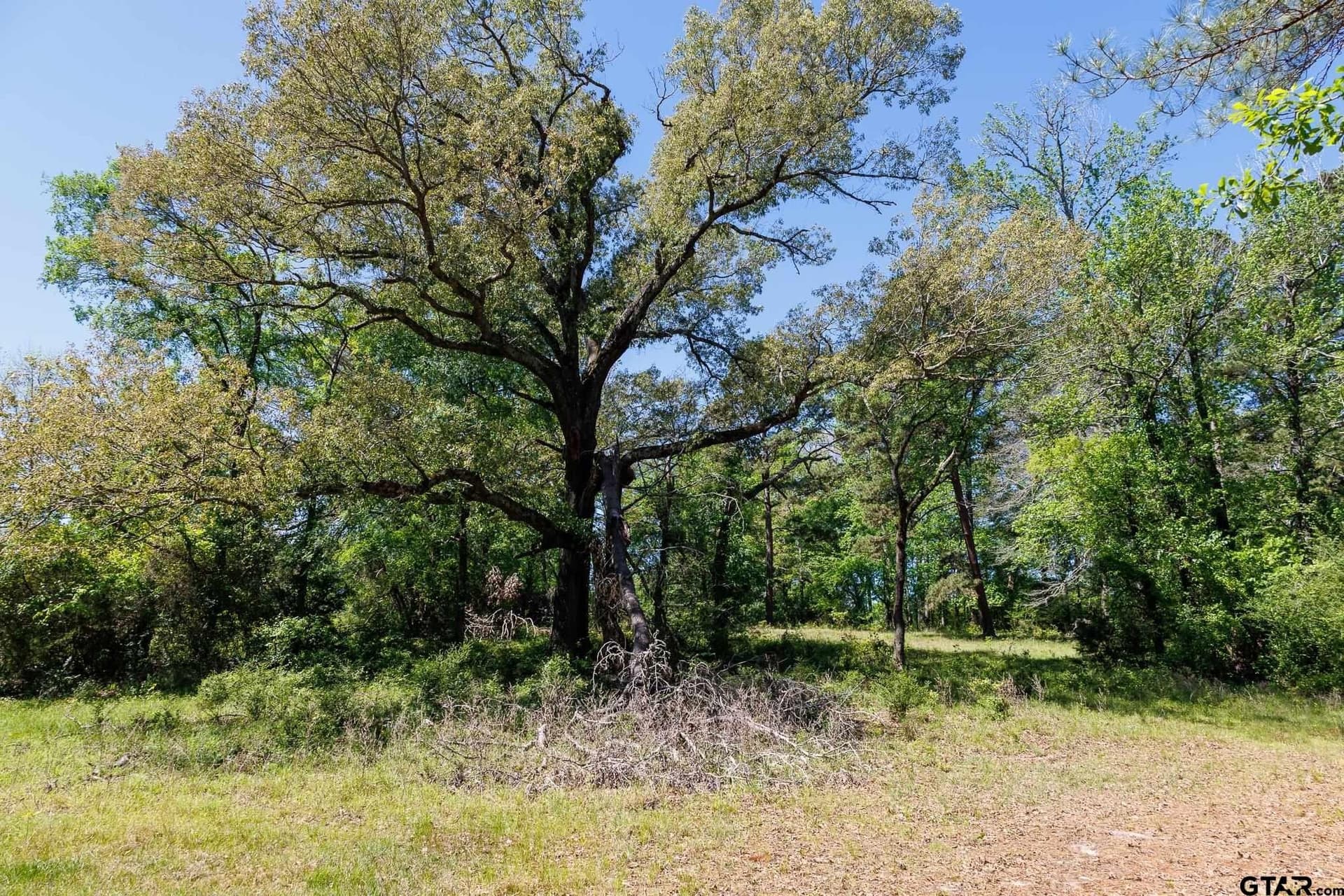 31.74 acres in Smith County - photo 27