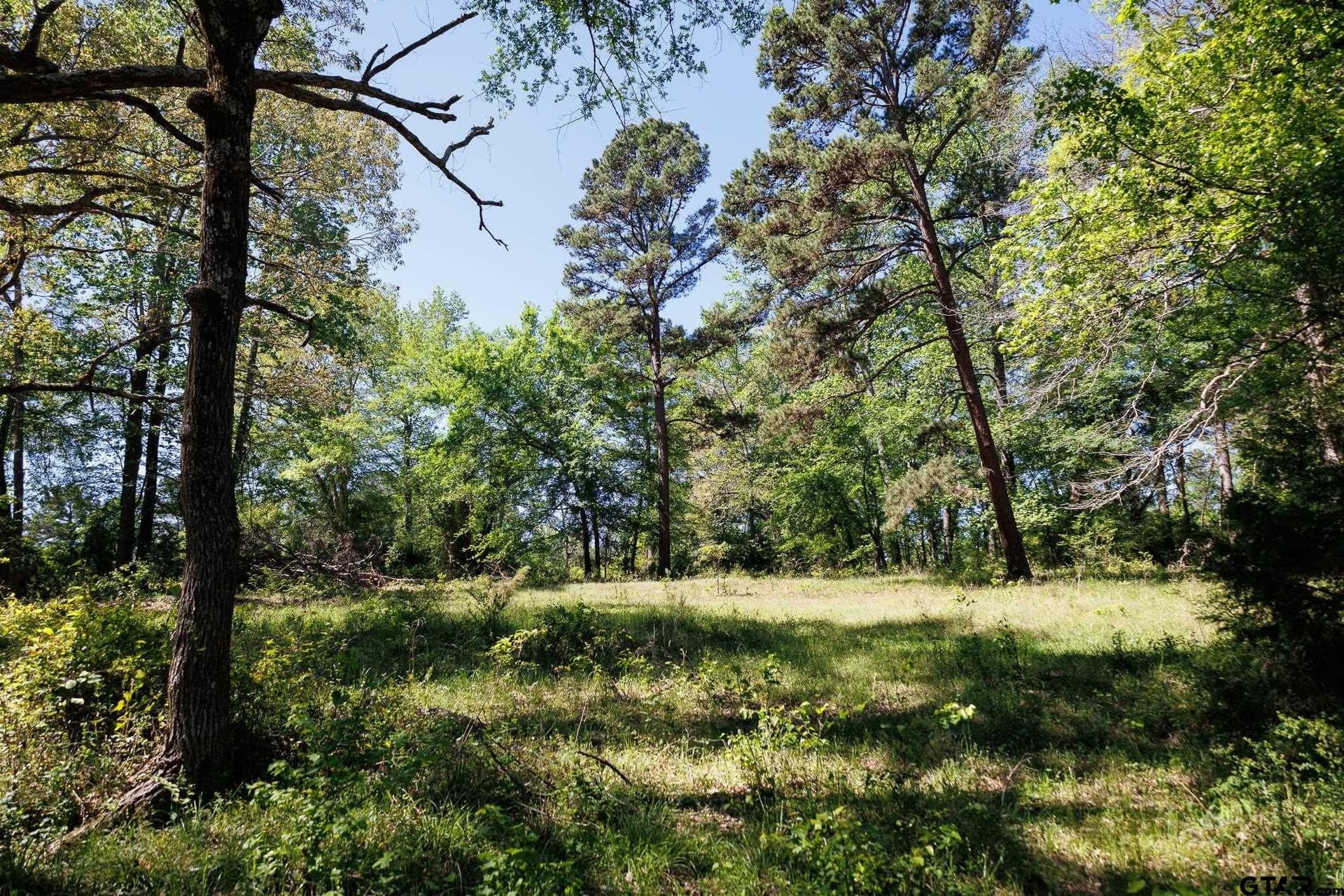 31.74 acres in Smith County - photo 28