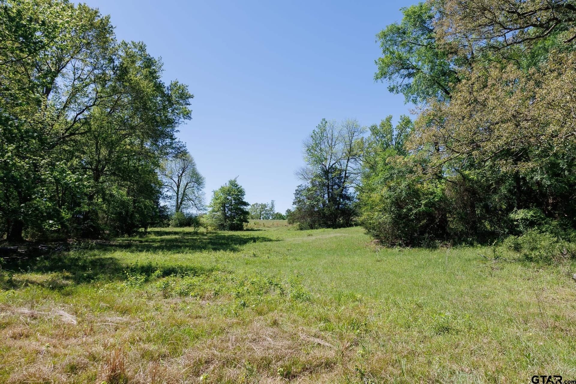 31.74 acres in Smith County - photo 26