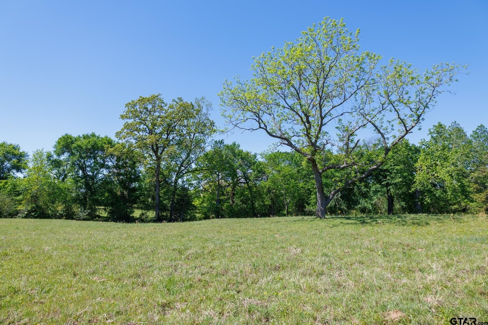 31.74 acres in Smith County - photo 33
