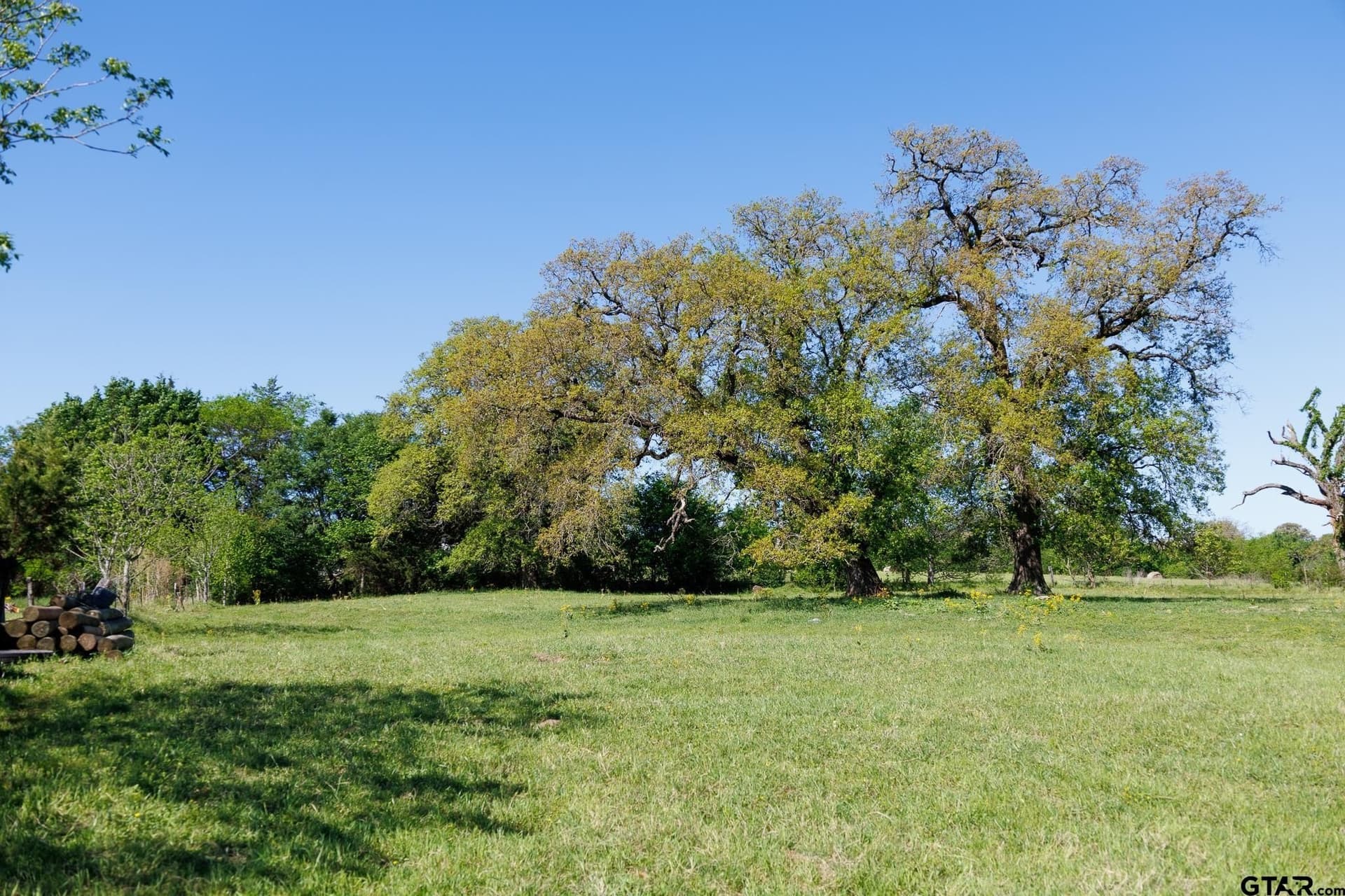 31.74 acres in Smith County - photo 19