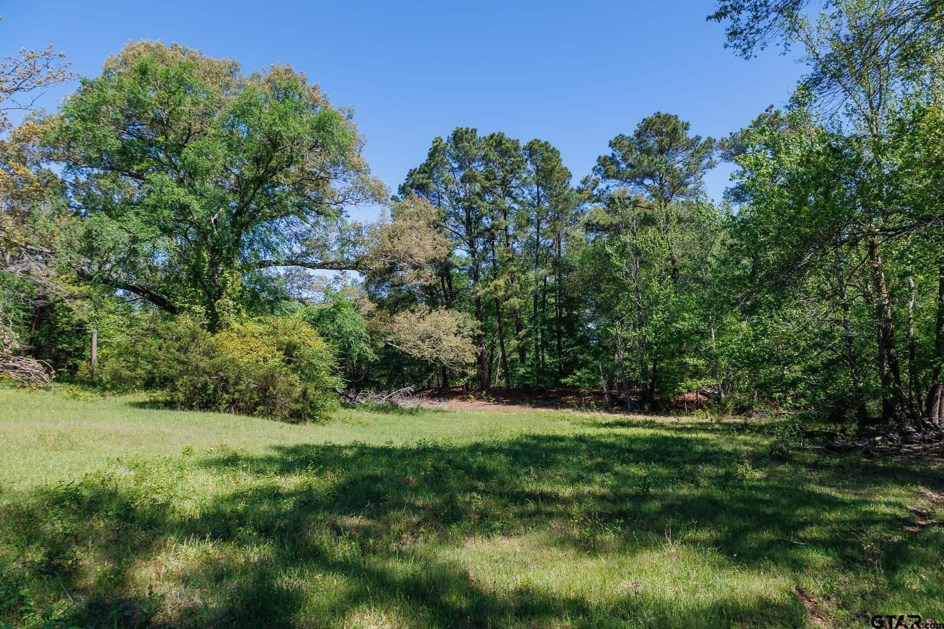 31.74 acres in Smith County - photo 25