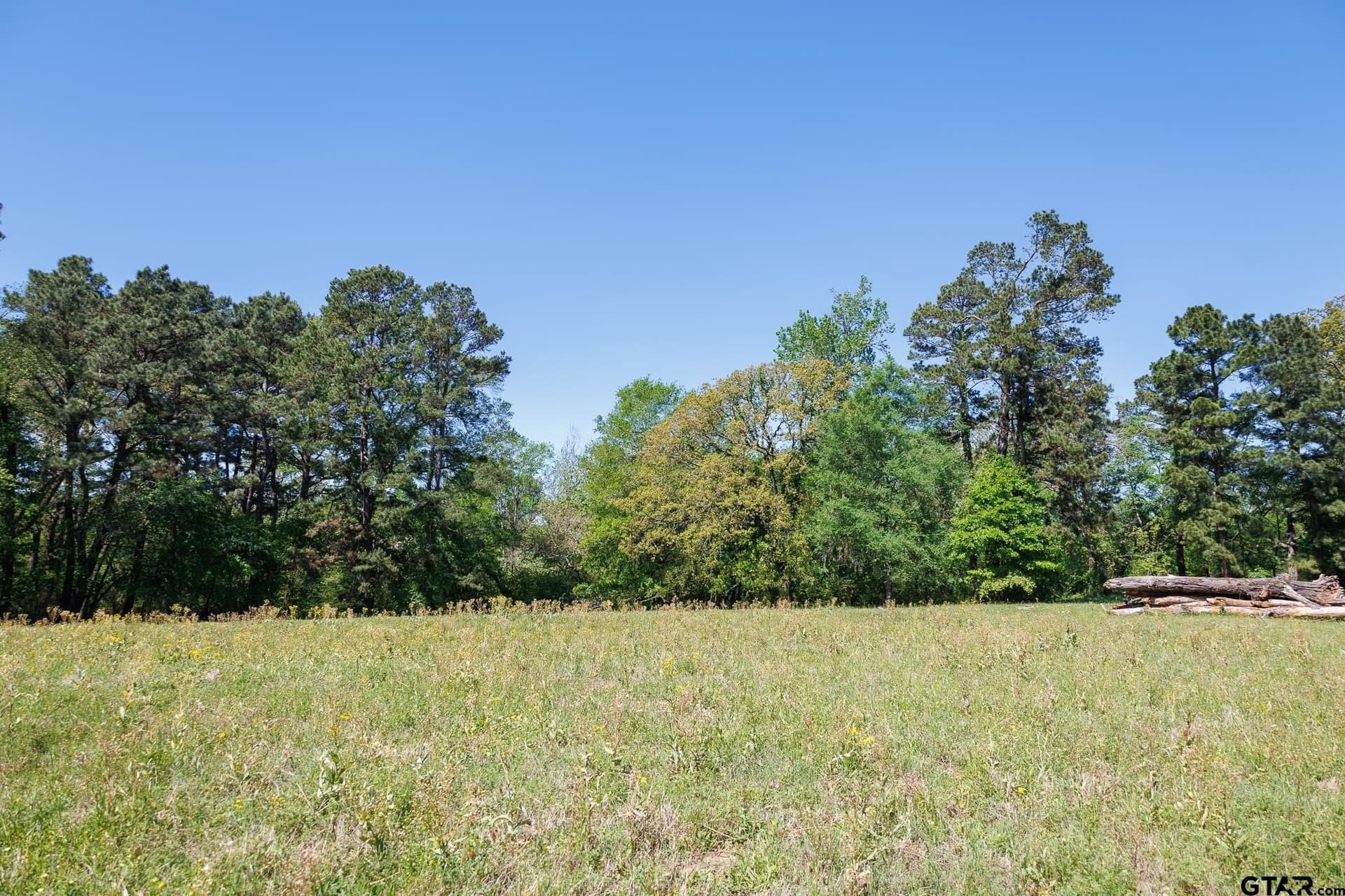 31.74 acres in Smith County - photo 31