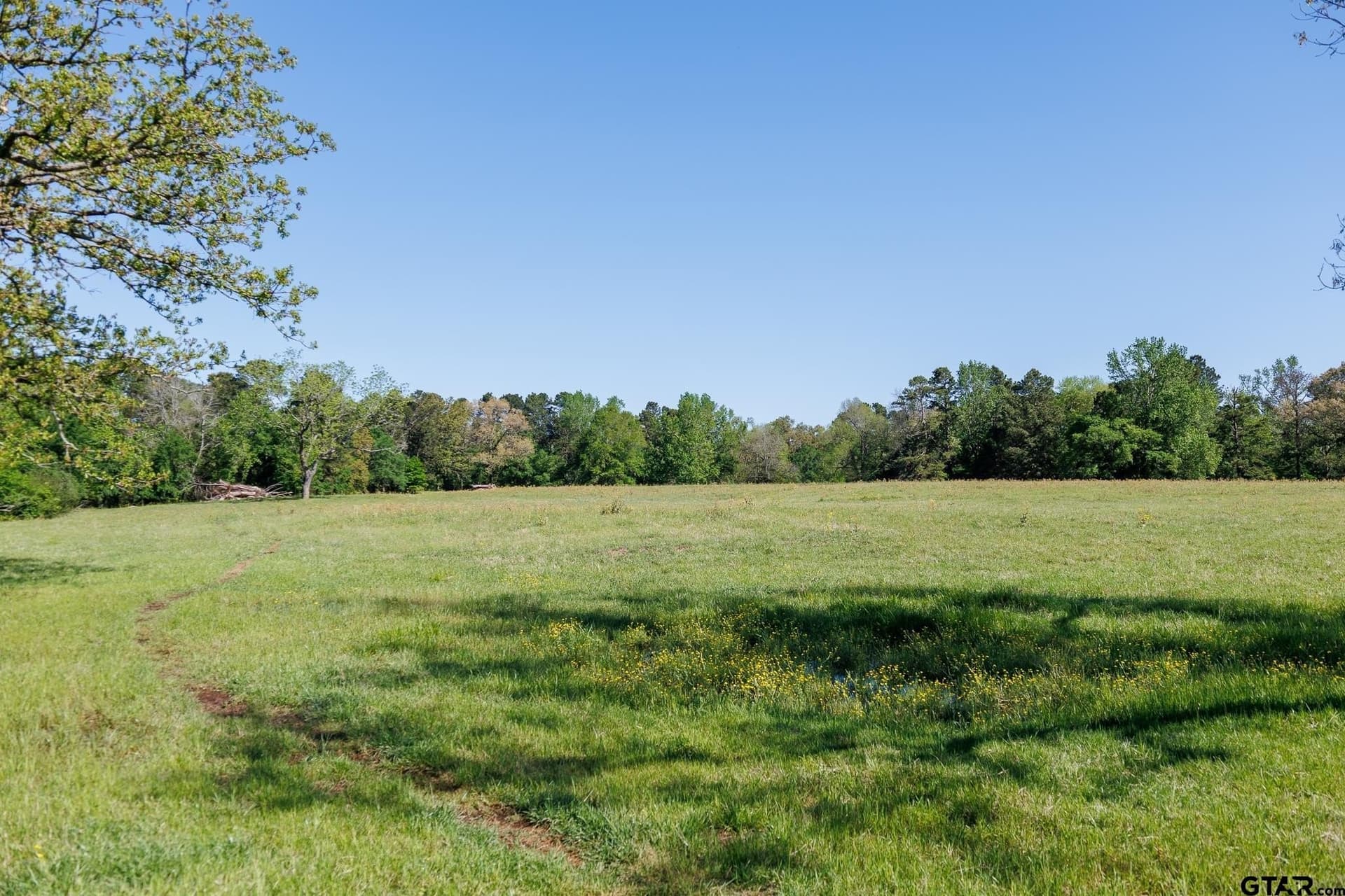 31.74 acres in Smith County - photo 20