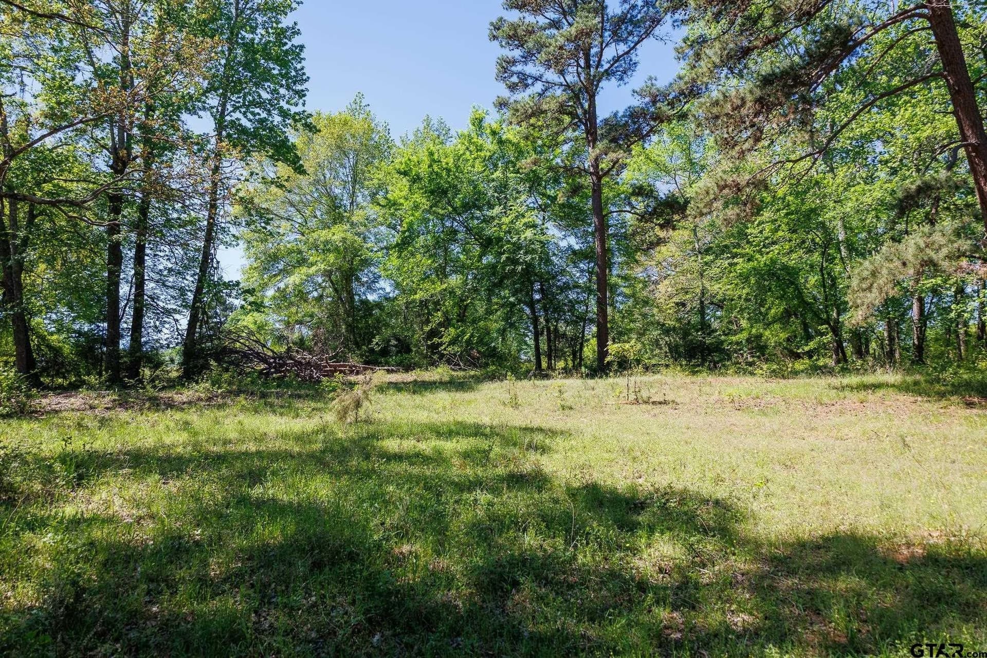 31.74 acres in Smith County - photo 29